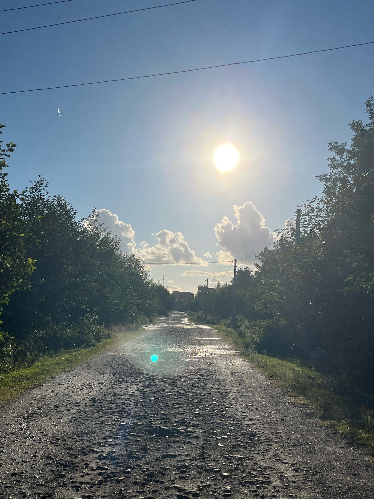 The image depicts a rural, unpaved road leading into the distance. The road is wet and reflects the bright sun overhead. Lush green trees line both sides of the road. In the sky, a contrail from an aircraft is visible, along with fluffy white clouds and the sun. The scene appears to be in Ureki, Georgia, a resort town known for its magnetic black sand beaches. The overall impression is one of a serene, natural landscape bathed in sunlight.