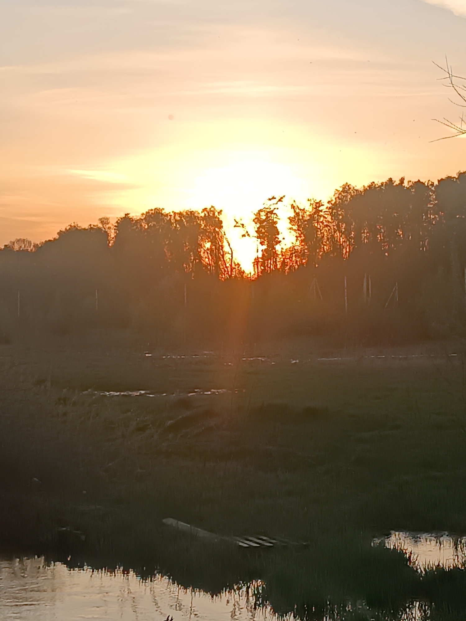 The image shows a landscape at sunset in an undetermined location. A body of water reflects the orange and yellow sky. A dark treeline obscures the horizon where the sun is setting. A grassy field extends from the water's edge to the treeline. There is a light colored rectangular object laying in the grass by the water.