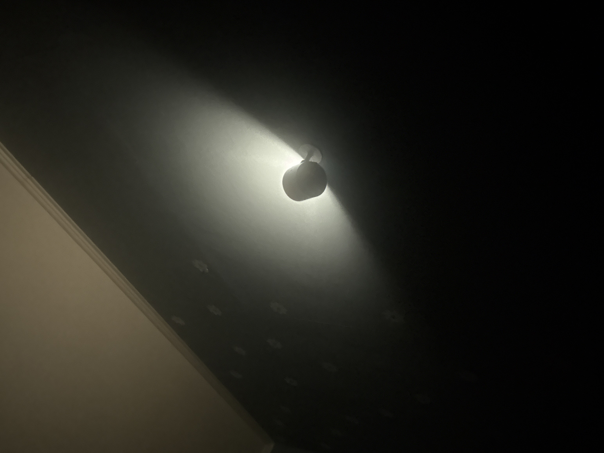 A low-angle shot shows a light fixture mounted on a dark ceiling. The fixture is emitting a bright light, illuminating a portion of the ceiling around it. The ceiling appears to have a series of circular indentations. The lower left corner of the image shows a lighter-colored wall and molding. The location in the city of Moscow, Russia, cannot be determined from the image.