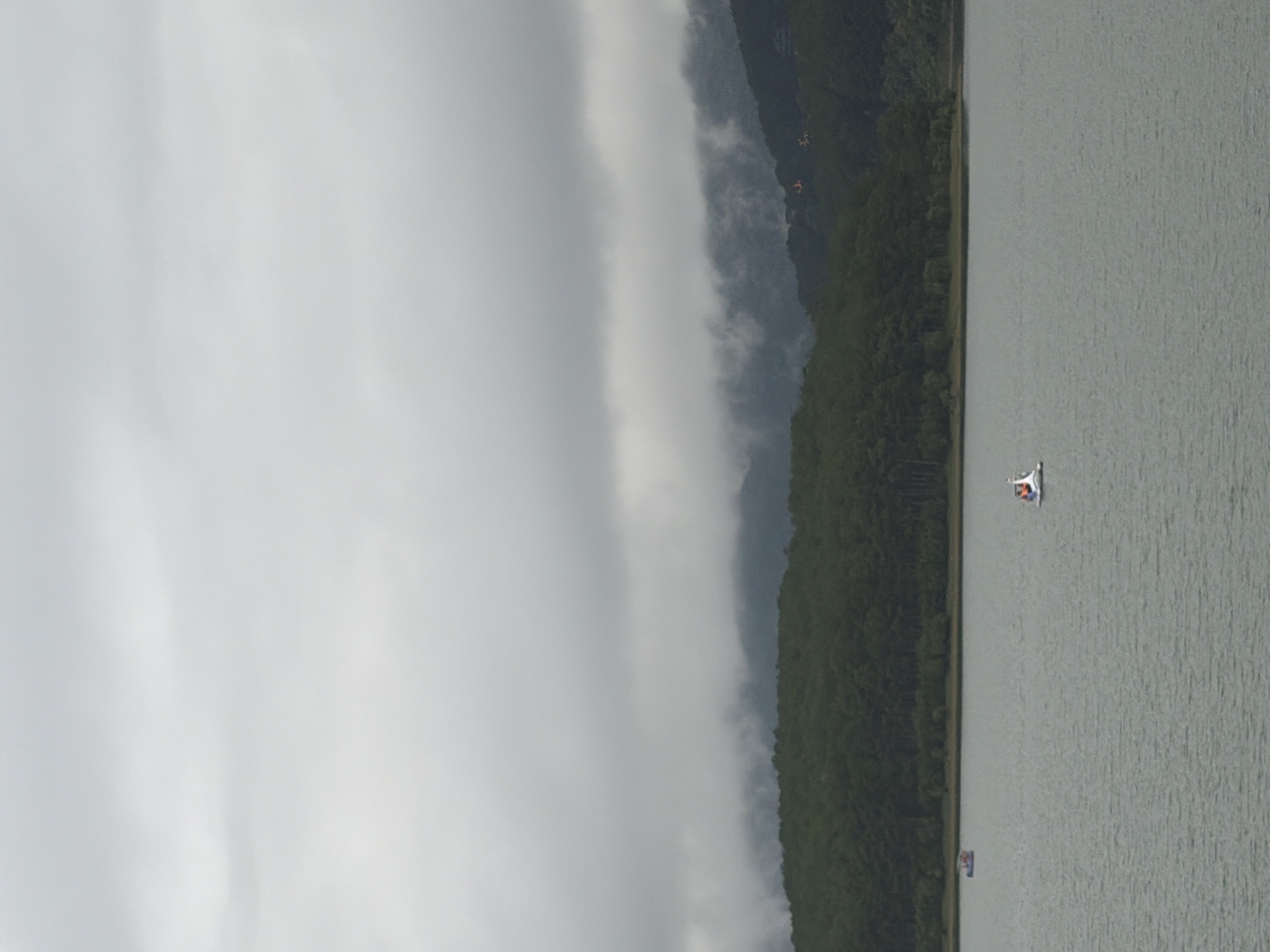 The image depicts Xuan Huong Lake in Da Lat, Vietnam, under a cloudy, overcast sky. The lake's surface is a calm, muted green. In the middle distance, a dense, dark green forest covers rolling hills that recede into misty, blue-grey mountains in the background. Two pedal boats are visible on the lake. One, to the left, is a small blue and white boat with two individuals on board. To the right, a larger white swan-shaped pedal boat carries at least two people. The overall atmosphere is serene and subdued, characteristic of a misty day in Da Lat.