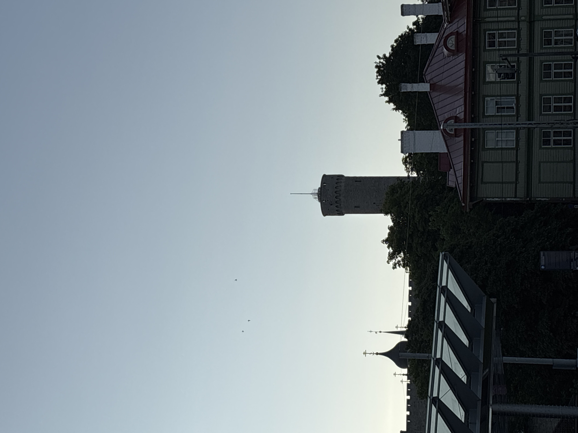 The image shows a view of Tallinn, Estonia, dominated by a tall, cylindrical stone tower with an ornate battlement-like top. The tower is situated behind a line of dark green trees. In the foreground, to the left, is a modern, angled glass and metal structure. To the right of the trees, a traditional building with a red roof and green wooden walls is visible, featuring multiple windows and white chimneys. Behind the trees and to the left of the tower, the tops of several church domes with crosses are visible, along with a crenellated wall, suggesting the presence of historic architecture. The sky is a pale, clear blue, and several small, dark shapes, possibly birds, are visible in the upper left quadrant. The overall scene depicts a blend of historical and modern elements within the city.