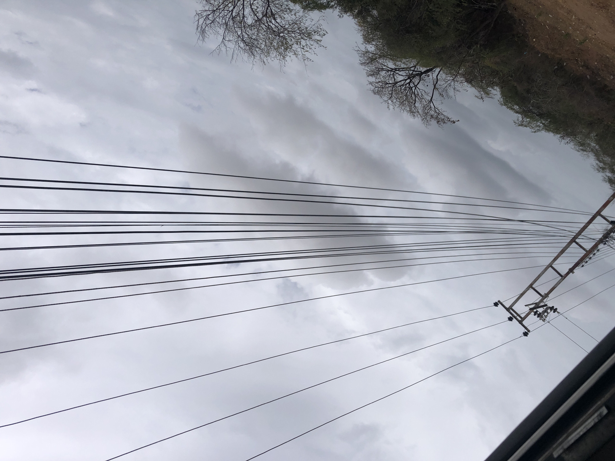 The image displays an overcast sky dominated by numerous utility lines, seen from a low angle, likely from street level looking upwards. The sky is filled with layered, grey clouds, suggesting a diffused, muted light indicative of a cloudy day, potentially preceding rain.
A multitude of black utility wires crisscross the frame horizontally and diagonally, creating a dense network that spans from the left to the right. On the far right, a brown utility pole structure, equipped with insulators and various attachments, supports a portion of these lines.
Along the top edge of the image, the branches of trees are visible against the sky. Some trees, particularly on the left, appear to be deciduous with bare or very sparse foliage, while others on the right show more dense green and brown leaves, forming a natural treeline or dense vegetation. This vegetation appears to be situated on a raised embankment or hill, adding a natural backdrop to the man-made infrastructure.
In the bottom right corner, a dark, angular edge of what appears to be a building, roofline, or similar structure partially enters the frame. The scene is devoid of people or any specific activity, capturing a static moment in an outdoor setting. The overall impression is one of an ordinary, non-descript day in Altagracia, Venezuela. No visible text is present in the image.