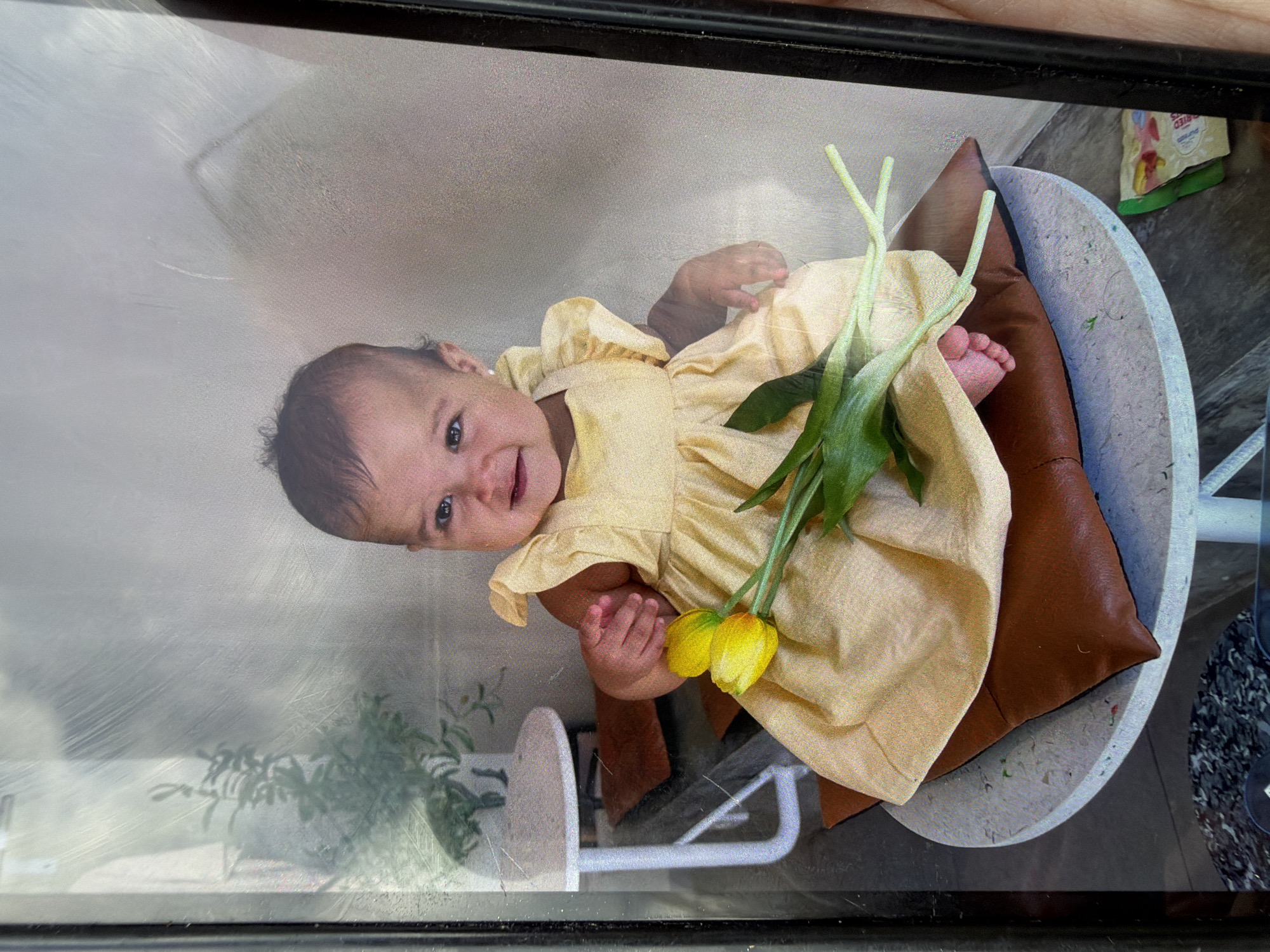 The image shows a baby in a yellow dress, holding yellow tulips. The baby is lying on a brown pillow, which is on a small, round, white table. The photo appears to be taken through a dirty window or screen. In the background, there is a glimpse of greenery, possibly a plant or foliage. A bag of snacks is visible to the right. The photo was taken indoors, likely near a window. There is no clear indication of the location in North Kuta, Indonesia, or any specific details that would tie the scene to that city.