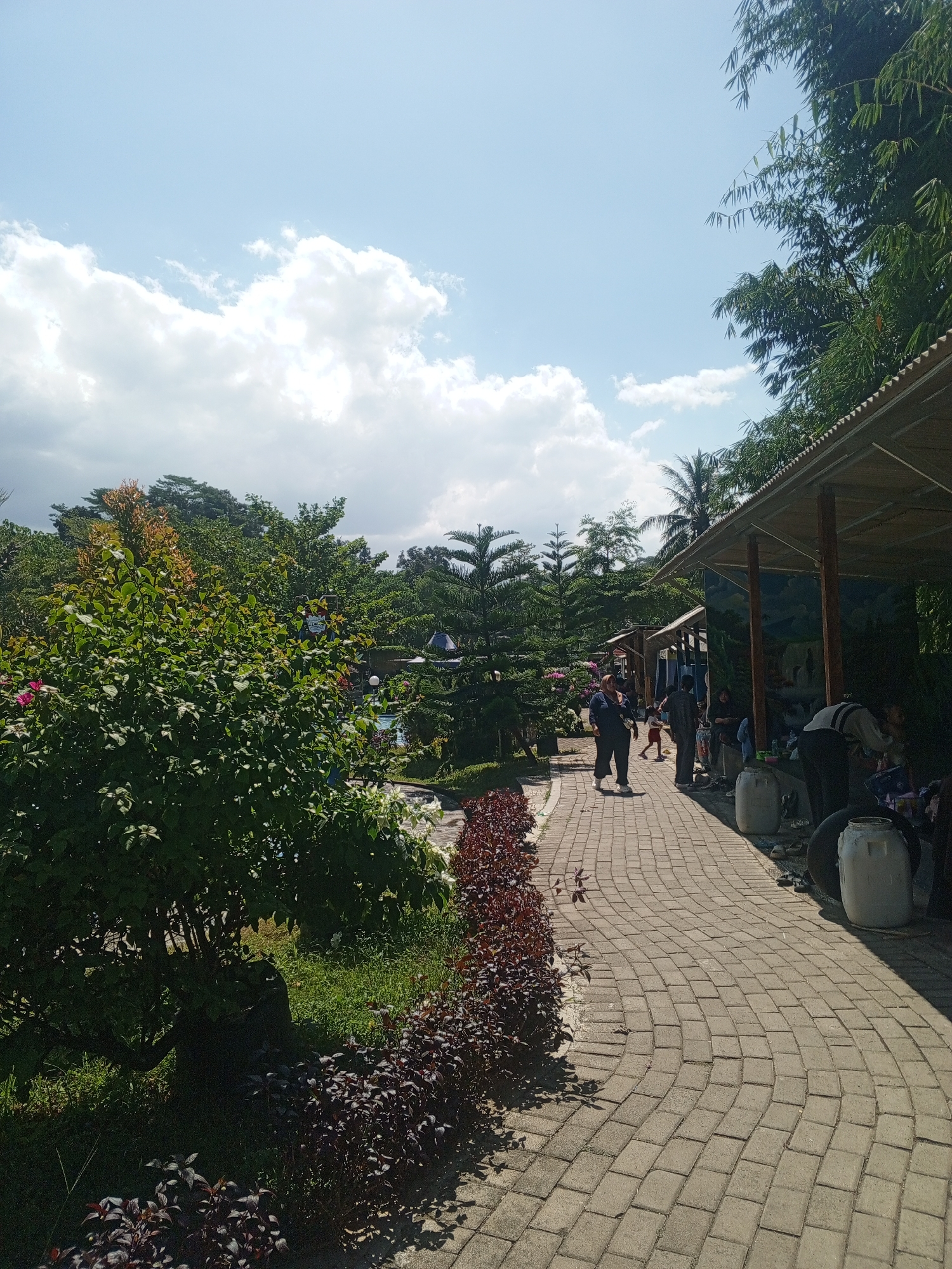 This image captures a paved walkway in a park-like setting, likely located in Darsono, Indonesia. The pathway, constructed from light-colored rectangular pavers, curves gently to the right, bordered on the left by lush green grass and a dense shrubbery with dark red leaves. Further left, a large, leafy green bush with hints of pink flowers dominates the foreground.
On the right side of the walkway, a series of open-air gazebos with corrugated metal roofs and wooden support beams are visible. These structures appear to be providing shade, as several people are gathered underneath them. The gazebos are decorated with mural paintings depicting natural scenes, including a waterfall.
Several individuals are present in the image. In the mid-ground, a person in a dark top and light pants is walking away from the camera on the paved path. To their right, under a gazebo, a group of people are standing and sitting. Some are engaged in activities, though not clearly discernible from this distance. Closer to the foreground, on the right, two large white plastic containers and a spare tire are placed near the gazebos.
The environment is characterized by abundant greenery, including various trees and bushes, suggesting a tropical or subtropical climate. The sky above is bright blue with scattered white cumulus clouds, indicating fair weather. The overall impression is that of a recreational area, possibly a tourist attraction or a public park, during daylight hours.