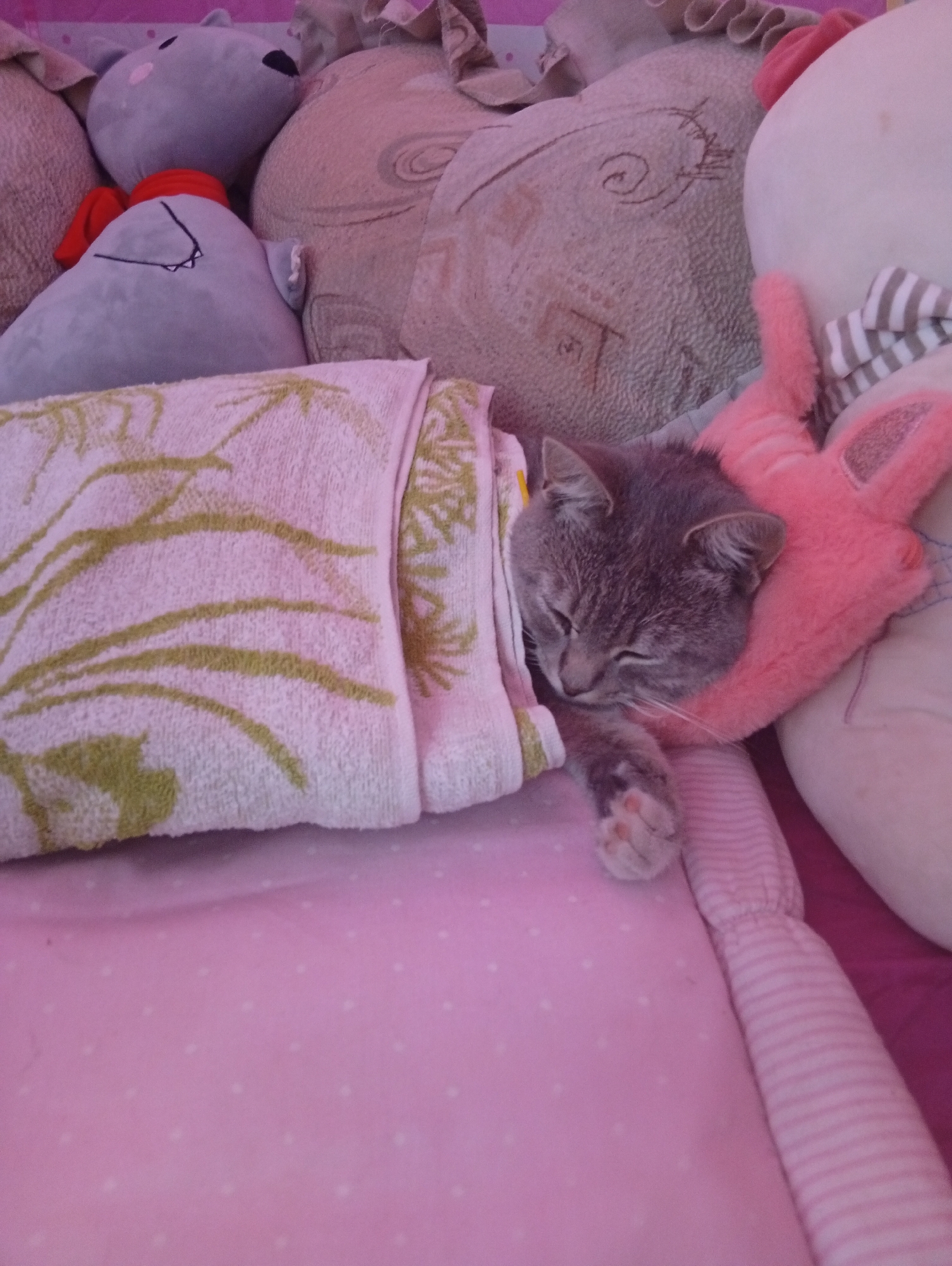 A grey tabby cat is sleeping, wrapped in a white towel with green leaf patterns, nestled amongst several plush toys. The cat's eyes are closed, and its head rests on a pink stuffed animal with bunny ears. The background consists of more plush toys and a pink polka-dotted blanket. The scene appears to be indoors, likely in a bedroom or play area.
