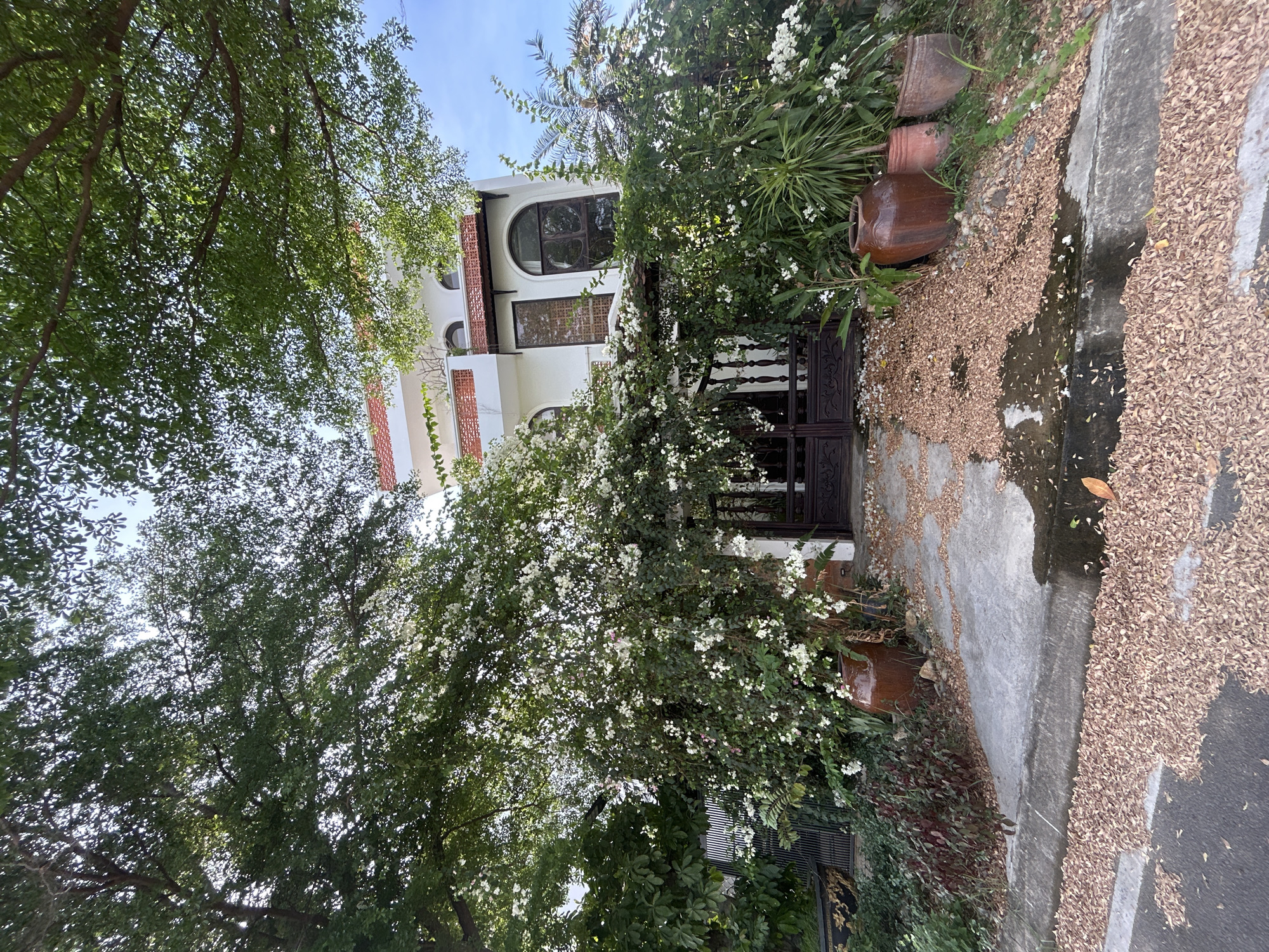 The image shows the facade of a two-story white house with a red tiled roof, situated in Nam Nha Trang Ward, Vietnam. The entrance is covered by an archway laden with white blooming flowers. The ground in front of the house is paved with concrete and covered in a thick layer of fallen brown leaves. Large ceramic pots are placed on either side of the entrance, adding to the rustic ambiance. The house features arched windows and decorative brickwork above the windows. Tall trees with dense green foliage frame the house, creating a natural canopy and partially obscuring the view of the sky, which is blue with a few wispy clouds. The scene appears to be set on a quiet street, with a concrete curb and asphalt road in the foreground, also covered with fallen leaves.