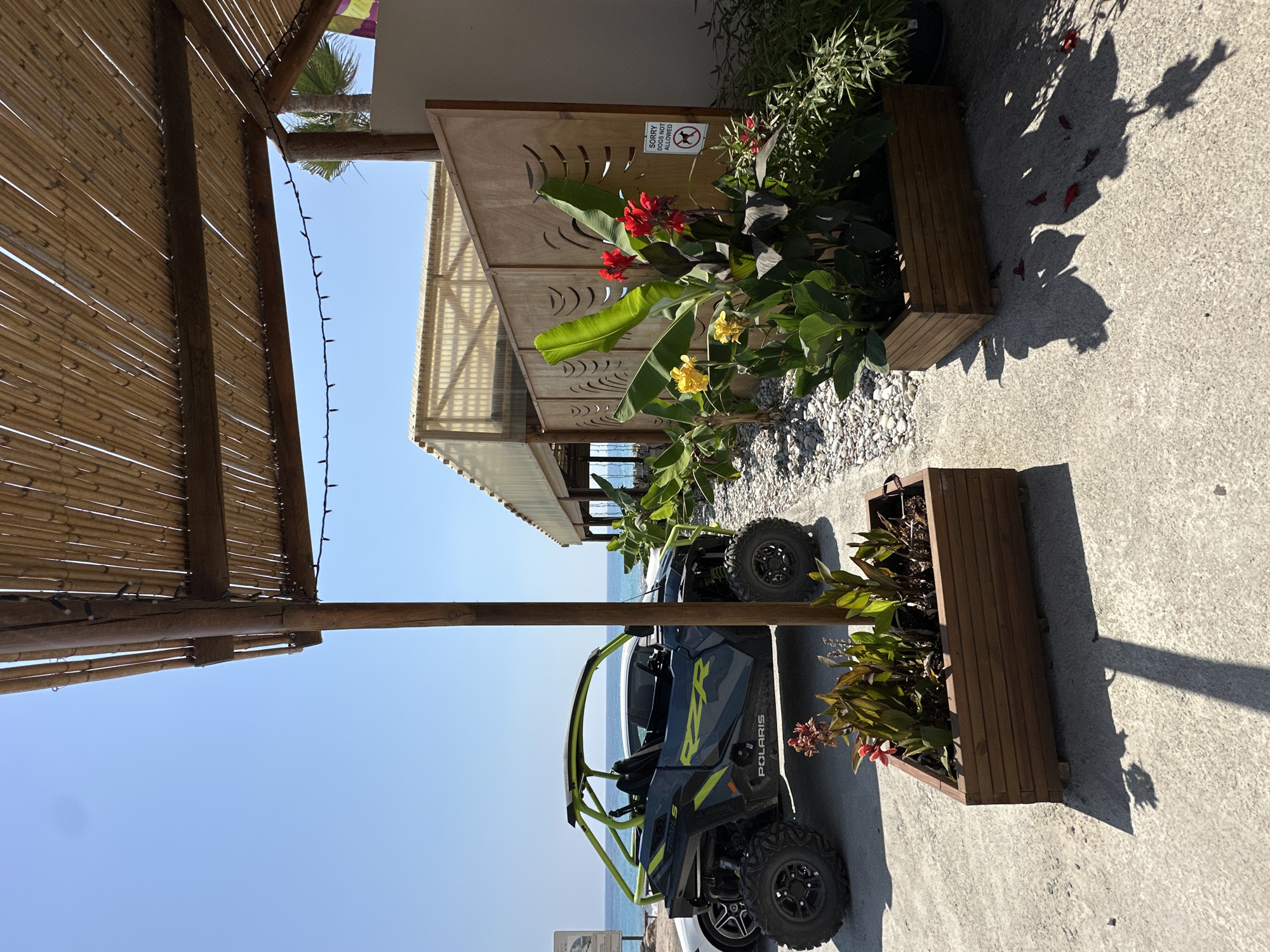 In Kissonerga Community, Cyprus, this image captures a sunny outdoor scene with a rustic ambiance. In the foreground, a wooden planter box holds lush green plants with vibrant red and yellow flowers, casting distinct shadows on the concrete ground. To the left, a dark gray and neon green Polaris RZR UTV is parked, with a white car partially visible behind it. Beyond the UTV, the azure sea stretches to the horizon under a clear blue sky. Overhead, a pergola constructed with bamboo poles and natural reed covering provides shade, with string lights adorning its structure. A wooden partition with decorative cutouts stands to the right of the UTV, partially obscuring a building with a translucent roof. A sign is attached to the wooden partition, reading "SORRY DOGS NOT ALLOWED" with a crossed-out dog symbol. The overall impression is a relaxed, coastal environment, possibly a restaurant or beachside establishment.