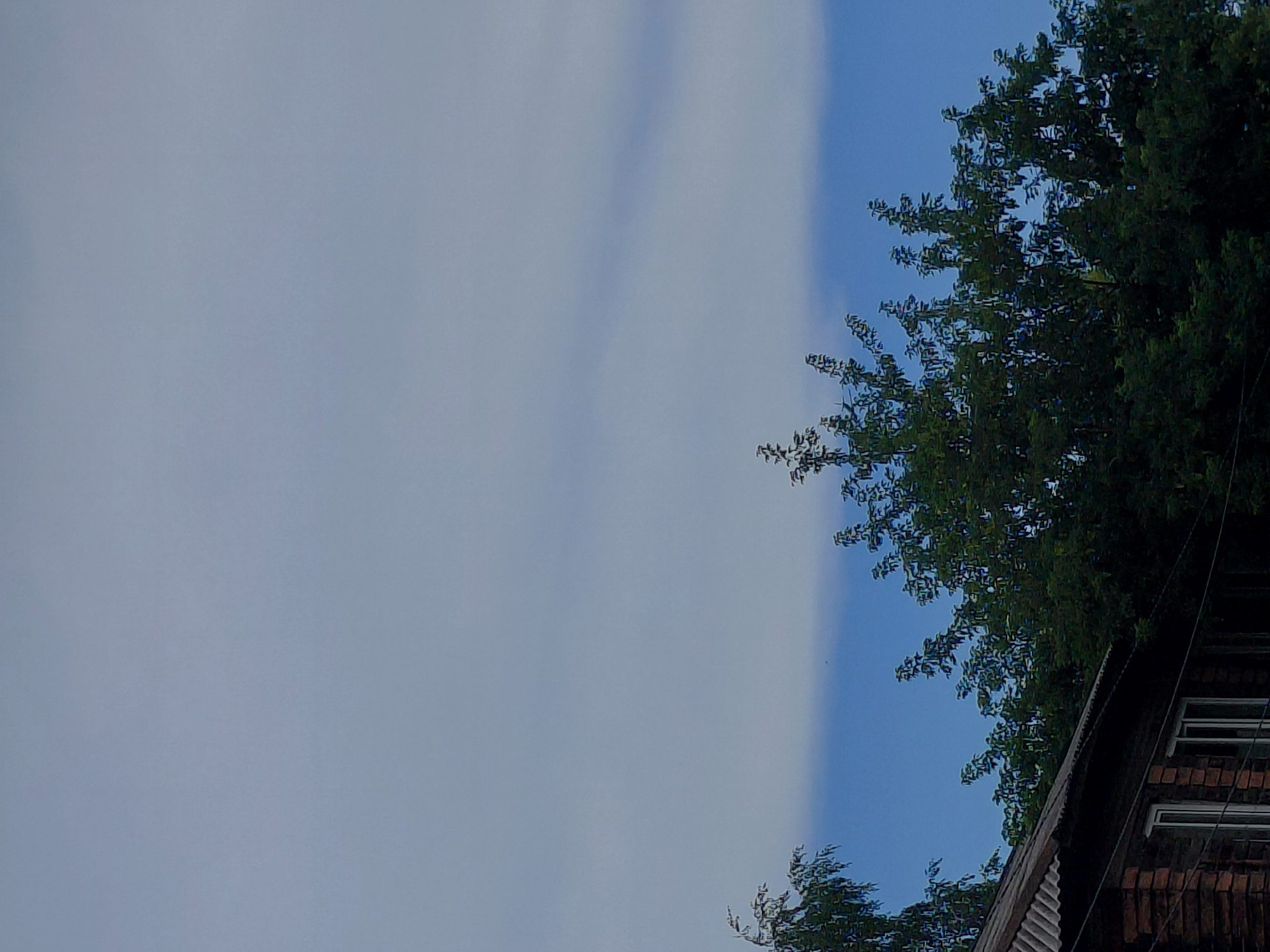 The image depicts an outdoor scene with a cloudy sky dominating the upper portion, transitioning to a clear blue sky nearer the horizon. Below the sky, the dense green foliage of trees is visible, with the upper branches reaching towards the sky. In the lower left corner of the image, the corrugated metal roof and brick facade of a building are present. The building appears to be an older structure with windows that have white frames. The overall setting suggests a residential area within a city, possibly Novosibirsk, Russia, given the context provided, during daylight hours under overcast conditions with patches of clear sky. There are no people or discernible actions in the image.