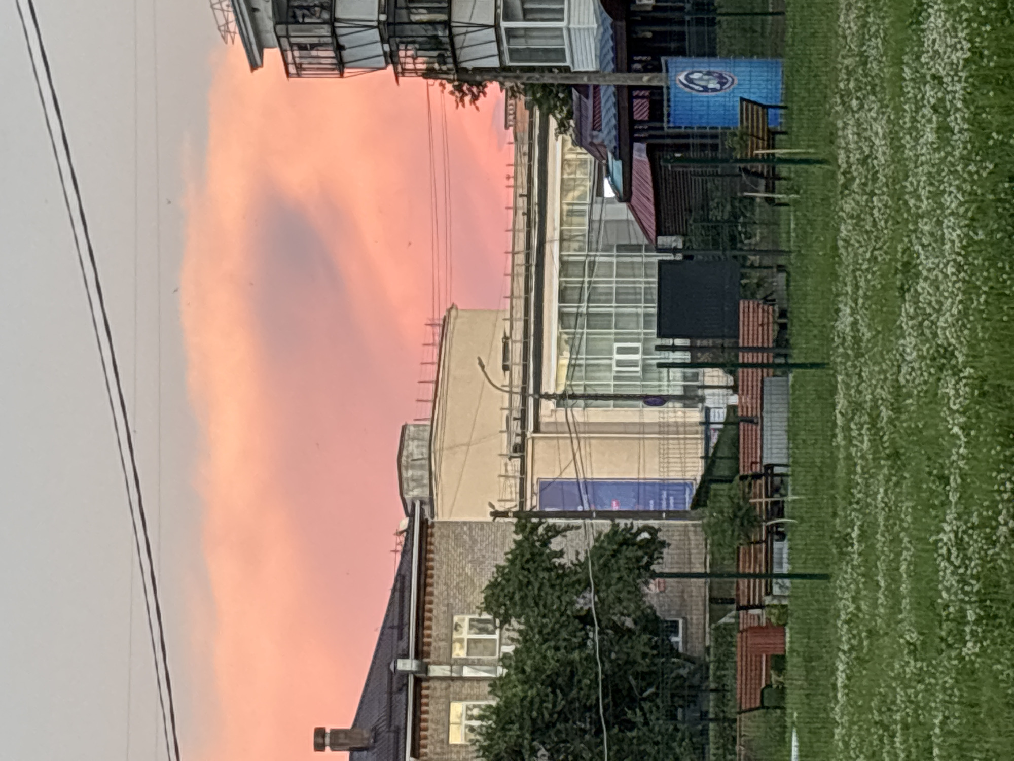 The image depicts a view of the city of Chaikovsky, Russia, under a vibrant pink sky. In the foreground, a grassy area is dotted with small white flowers, bordered by a fence. Several park benches are visible behind the fence, some with wooden slats. Beyond the park, a street is lined with various buildings. To the left, a brick building with white-framed windows and a chimney stands. Adjacent to it is a long, cream-colored building with large glass windows. To the right, a multi-story apartment building with balconies and white accents rises. Further to the right, a smaller structure with a dark wooden exterior and a red roof is visible, alongside a blue advertisement panel featuring a circular logo. Overhead, power lines crisscross the sky, which is dominated by the pink hues of the sunset. No people are present in the image.