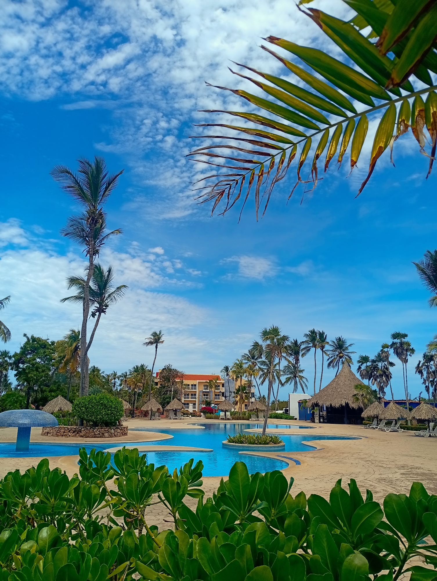 The image captures a scene at what appears to be a resort or recreational area in Playa El Agua, Venezuela. The foreground features lush green shrubbery, with a swimming pool of irregular shape visible behind it. The pool has sections of varying depths and includes small, landscaped islands.
Several thatched-roof structures, potentially cabanas or small bars, are situated around the pool area. Palm trees of varying heights are interspersed throughout the scene, contributing to the tropical ambiance. In the background, a multi-story building with an orange facade is partially visible.
The sky is bright blue with scattered white clouds, and a palm frond extends from the upper right corner into the frame, partially obscuring the sky. The overall impression is of a sunny, tropical vacation destination. There are no people visible in the frame.