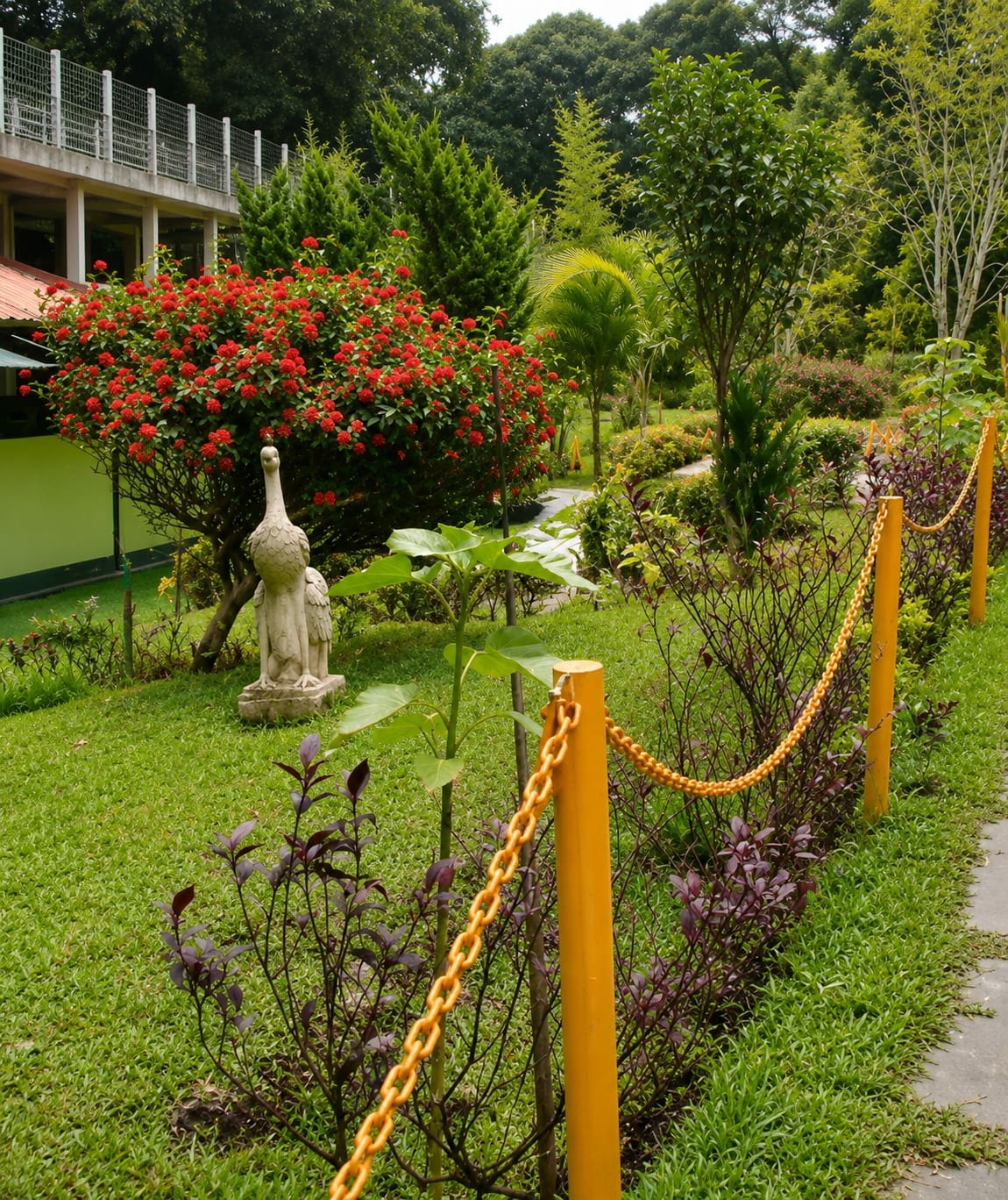 In the city of Dolat Rayat, Indonesia, a serene garden scene unfolds. The foreground is dominated by a vibrant, low-lying green lawn, bordered by a bright yellow chain-link fence supported by yellow posts. To the left of the fence, a solitary pale green plant with large leaves stands tall. Behind it, a cluster of dark-leafed shrubs adds a touch of contrasting color. A stone statue of a bird, with a weathered, cream-colored finish, is partially visible behind the plant. The middle ground features a lush, flowering bush laden with a profusion of small red blossoms. The background is a tapestry of verdant trees and foliage, with a pathway winding through the greenery. In the distance, a multi-story building with a pale exterior and a red roof is partially obscured by trees, hinting at a more structured area within the natural landscape. The overall impression is one of a well-maintained botanical garden or park.