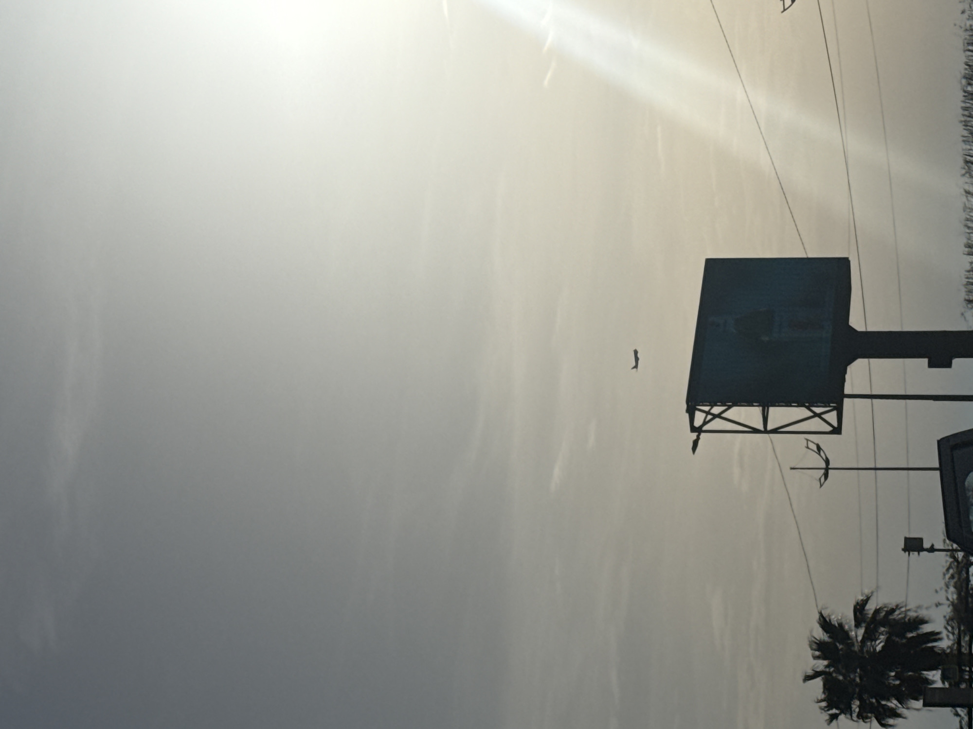 The image presents a low-angle view oriented towards the sky. The scene includes a billboard structure with a dark advertisement panel, and adjacent to it is a palm tree. Electrical wires are strung across the sky. A distant bird can be observed flying. The sky itself is overcast, appearing to be washed with light. Based on the presence of the palm tree and the overall setting, the location is most likely in the city of Batumi, Georgia.