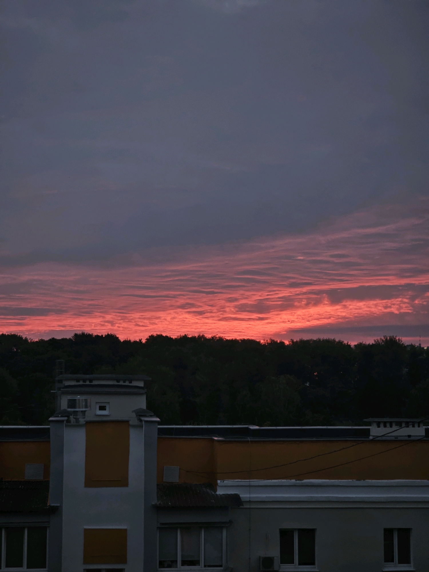 A vertical, eye-level, medium shot captures a dramatic sunset over a city skyline. The upper two-thirds of the frame is dominated by a sky painted with fiery hues of red and pink, transitioning into a deep indigo at the top. Wispy, horizontal clouds catch the last light, creating a textured, vibrant spectacle. Below the sky, a dense line of dark green trees forms a natural barrier. In the foreground, the upper portions of several buildings are visible. The closest building, on the left, is a light-colored structure with a prominent darker section adorned with large, orange rectangular panels. Another building to the right features a yellow-orange roofline and white trim, with several windows and what appear to be ventilation grates visible. The overall atmosphere is one of a vivid end to the day.