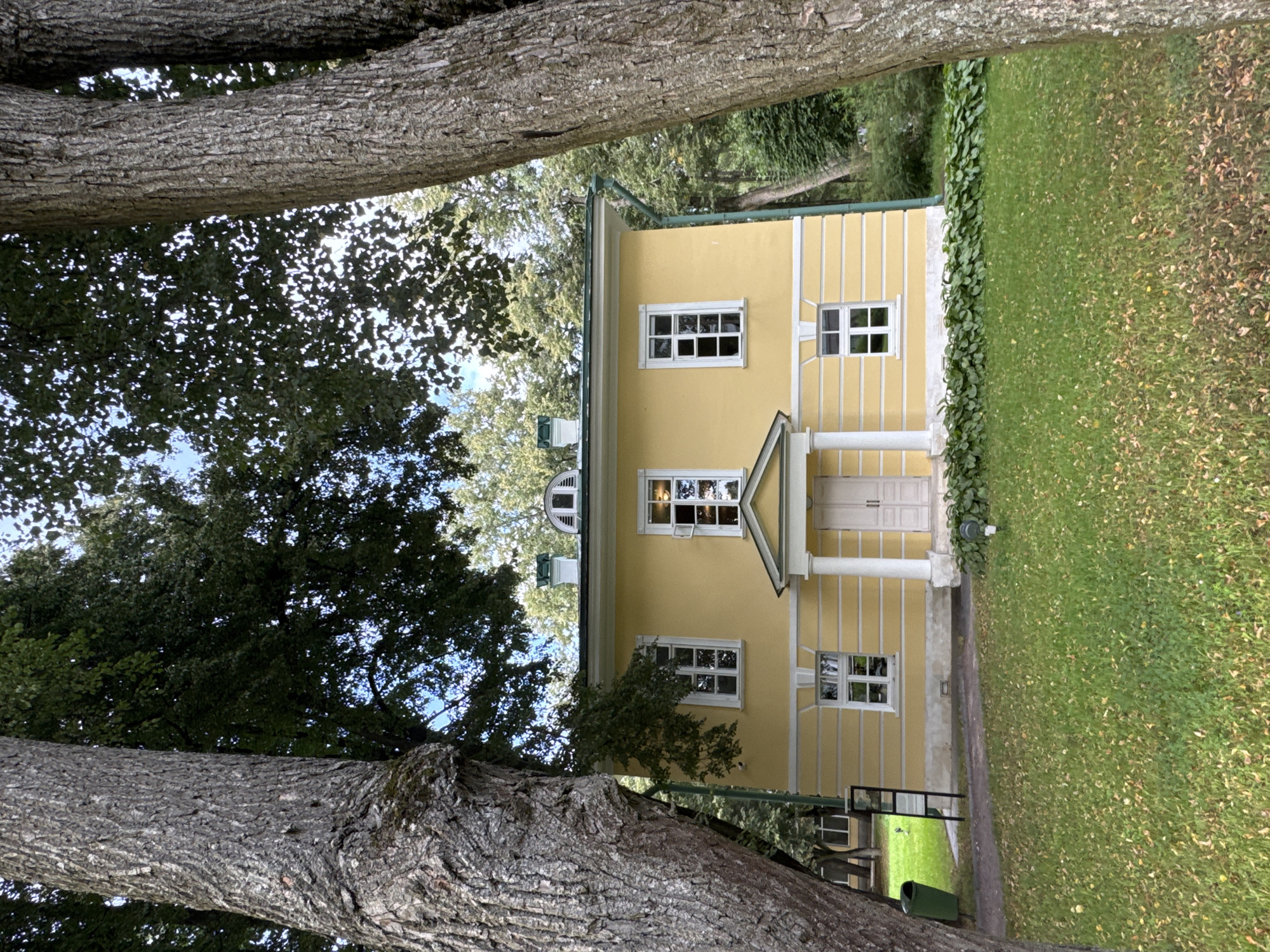 In the city of posyolok dacha khozyaystva "Arkhangelskoye", Russia, a yellow two-story building with a green roof stands amidst lush greenery. The building features multiple white-framed windows, some of which are open, and a prominent white portico with columns leading to double doors. The facade is adorned with horizontal decorative molding. In the foreground, a well-maintained lawn is dotted with fallen leaves, and two large, mature trees with rough bark frame the structure on either side. A green trash can and a signpost are visible to the left of the building. The sky above is partly cloudy, with sunlight filtering through the dense foliage of the surrounding trees, creating a dappled effect on the ground. The overall scene depicts a serene, possibly historical, estate.