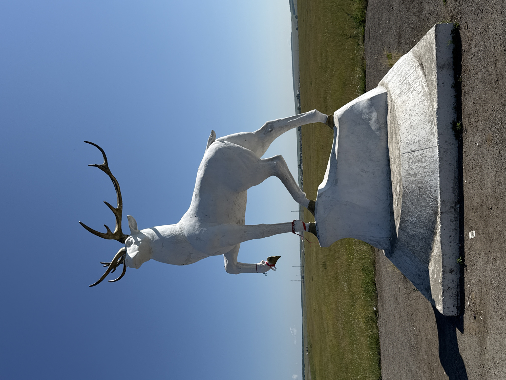 An outdoor, eye-level, full shot shows a white sculpture of a reindeer with large, bronze-colored antlers, standing on a white base. The reindeer is facing left, with its head tilted up and its left front leg raised. Red ribbons are tied around the reindeer's left leg and its back right leg. The sculpture is situated on a tiered, white concrete pedestal. Behind the sculpture, a vast, flat, green field stretches to the horizon, dotted with small white wildflowers. In the distance, a few scattered buildings and tall, thin structures, possibly utility poles, are visible. The sky above is a clear, bright blue. The ground in front of the sculpture is a dark, gravelly surface with some scattered debris. The overall scene suggests a roadside monument or marker in a rural or semi-rural area.