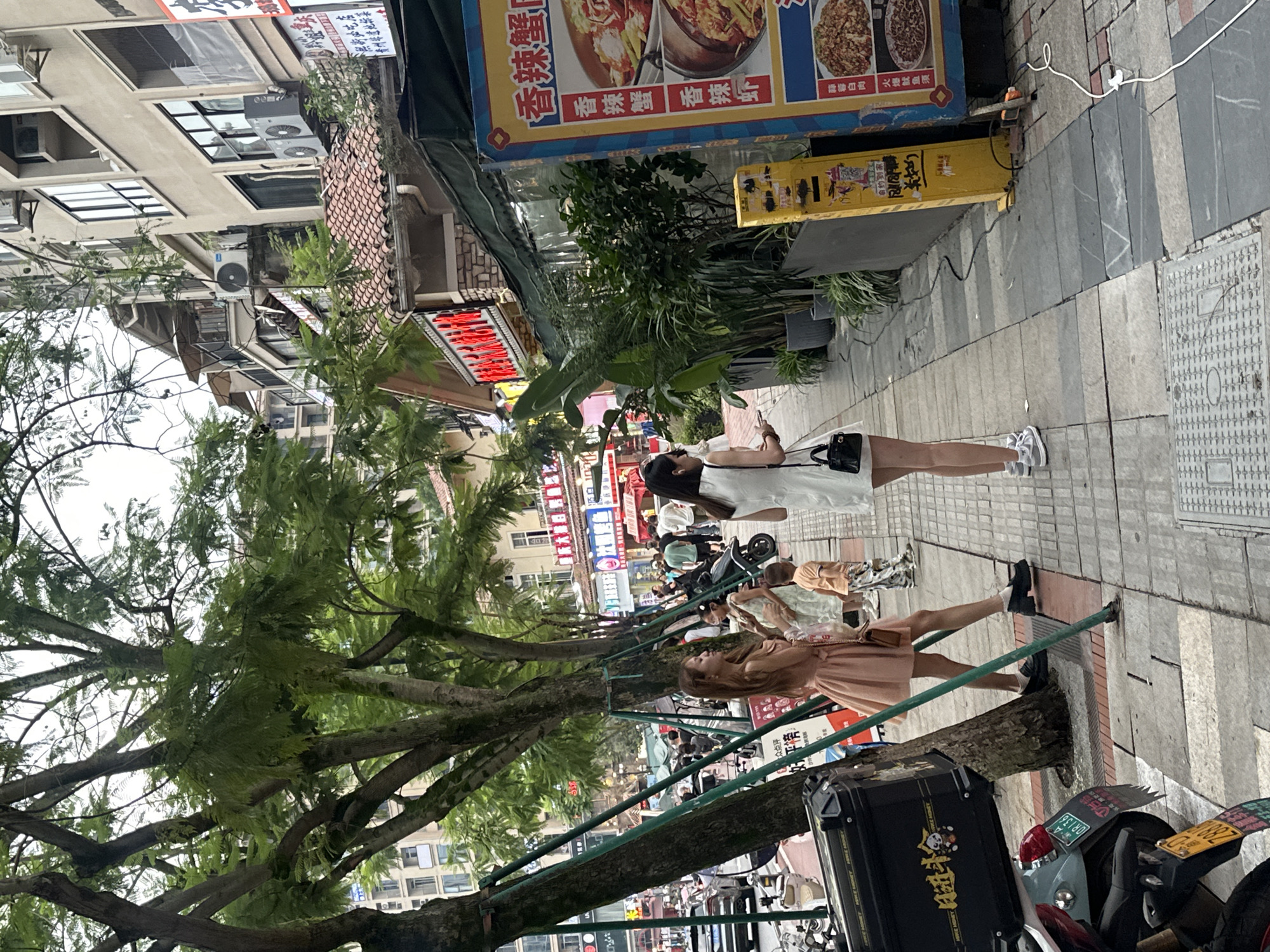 The image depicts a street scene in the Chongqing High-tech Zone, China. In the foreground, two young women stand on a sidewalk. The woman on the left wears a light pink dress and dark shoes, holding a brown purse. The woman on the right is in a white dress and light-colored sneakers, also carrying a black purse. A young boy in an orange shirt and patterned pants stands between them. Behind them, a series of trees with lush green foliage line the sidewalk, with their trunks supported by green metal poles.
Further down the street, a vibrant red sign with Chinese characters is visible above a building with a tiled roof. A large, colorful advertisement poster featuring images of food, primarily in red and yellow hues, is displayed on the right side of the image. The poster has Chinese text, including "香辣蟹" which translates to "Spicy Crab." Several potted plants are arranged along the storefront.
In the background, pedestrians are walking on the sidewalk, and vehicles, including cars and motorcycles, are present on the road. The buildings in the background appear to be multi-story structures with various architectural styles. The overall environment suggests a bustling urban street with a mix of commercial establishments and greenery.