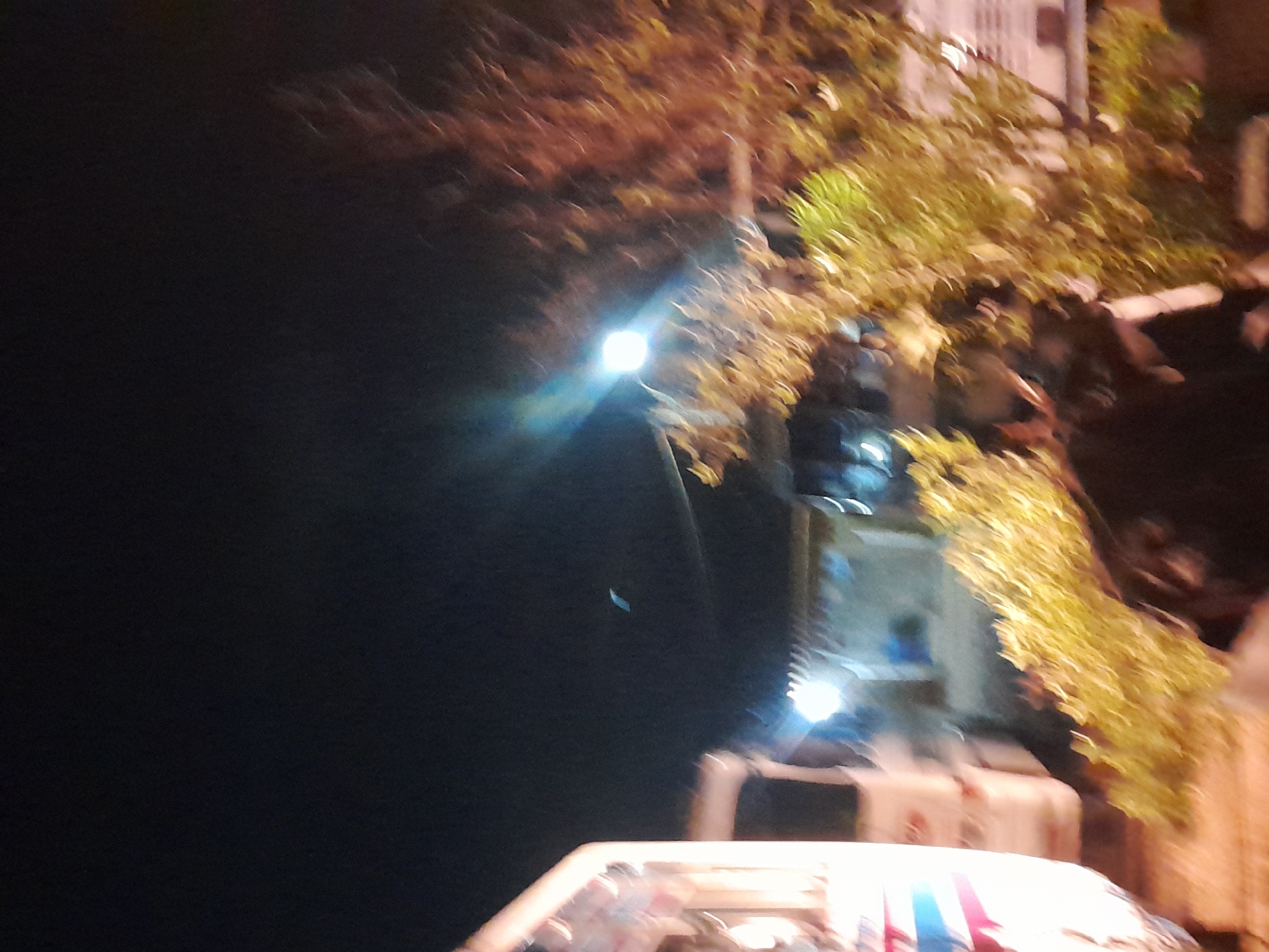 The image, taken at night in Santa Ana, Venezuela, shows a blurry scene with several objects. On the left, a white bus with red and blue stripes is partially visible. To the right of the bus, there appears to be a building or structure with lights. In the foreground, a person is visible, with their face turned downwards. Green foliage is prominent in the mid-ground, and a bright light source, possibly a street lamp, illuminates the scene. The overall image is characterized by motion blur, suggesting movement during the capture of the photograph.