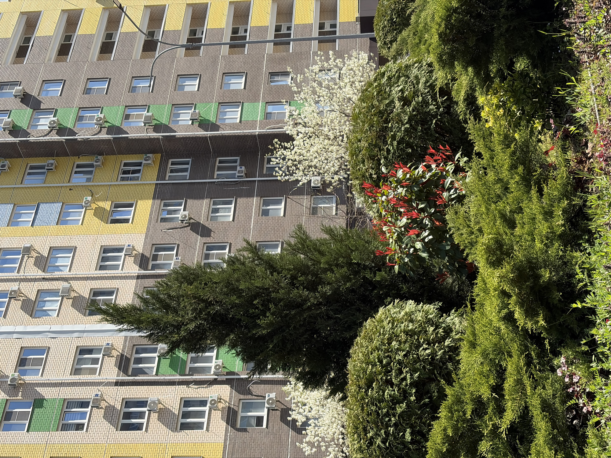 A multi-story building with alternating colored rows of brick and numerous windows is partially obscured by trees and shrubs. The building is composed of yellow, brown, green, and blue rows. Each window has an air conditioning unit mounted below it. The trees and shrubs on the right side of the image are mostly green, with a few red and white blooms interspersed. The image is possibly taken in Krasnodar, Russia, but this cannot be verified with visual information. There are no people visible.