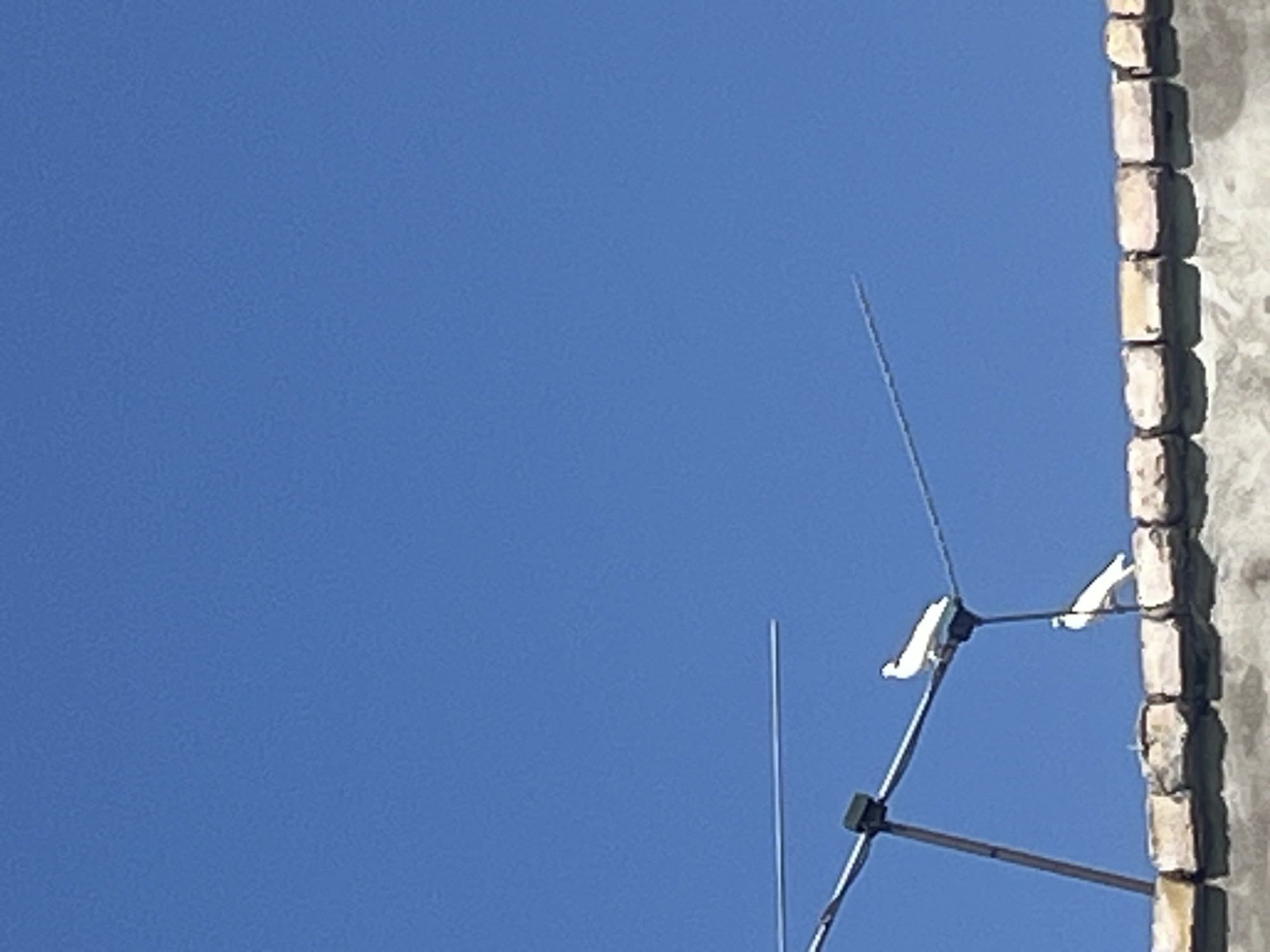 The image shows two white pigeons perched on a television antenna against a clear blue sky. The antenna is mounted on a brick wall, which is visible at the bottom of the frame. The pigeon in the foreground is standing on the antenna, while the pigeon in the background is perched on a horizontal bar of the antenna. The overall scene is one of a common urban sight, suggesting a location within a populated area. Given the lack of distinctive landmarks, it is not possible to determine the exact location within Uzbekistan, Uzbekistan based solely on this image.