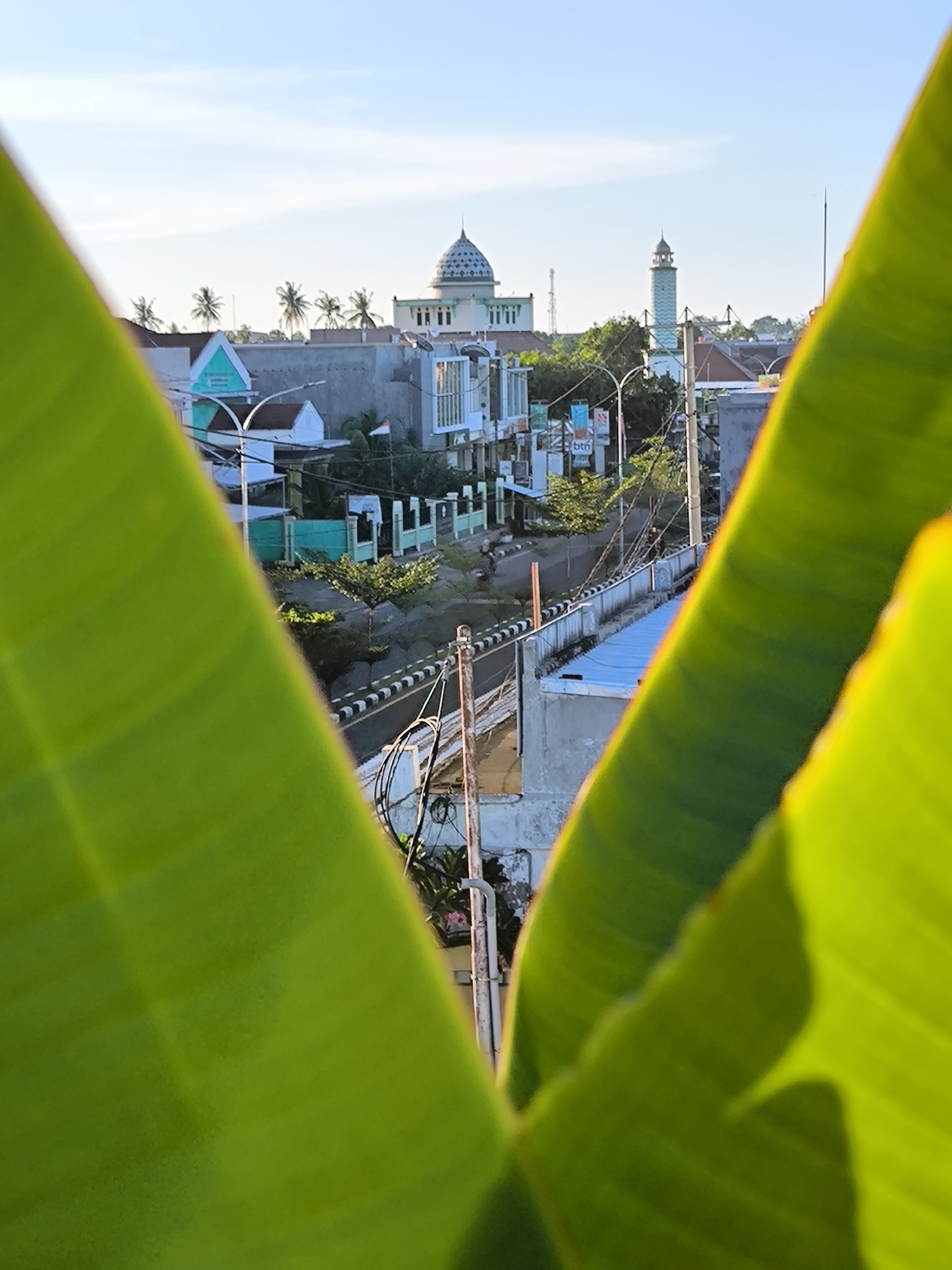 The image, taken in Sumbawa Besar, Indonesia, shows a cityscape framed by two large green leaves, likely banana leaves. In the background is a mosque with a light green dome, and to the right, a minaret. The city consists of low-rise buildings, including houses with light-colored walls and blue or green accents. Palm trees are visible in the distance against a clear sky. Power lines crisscross the street, and a black-and-white curb delineates the road. There are no people clearly visible in the image.