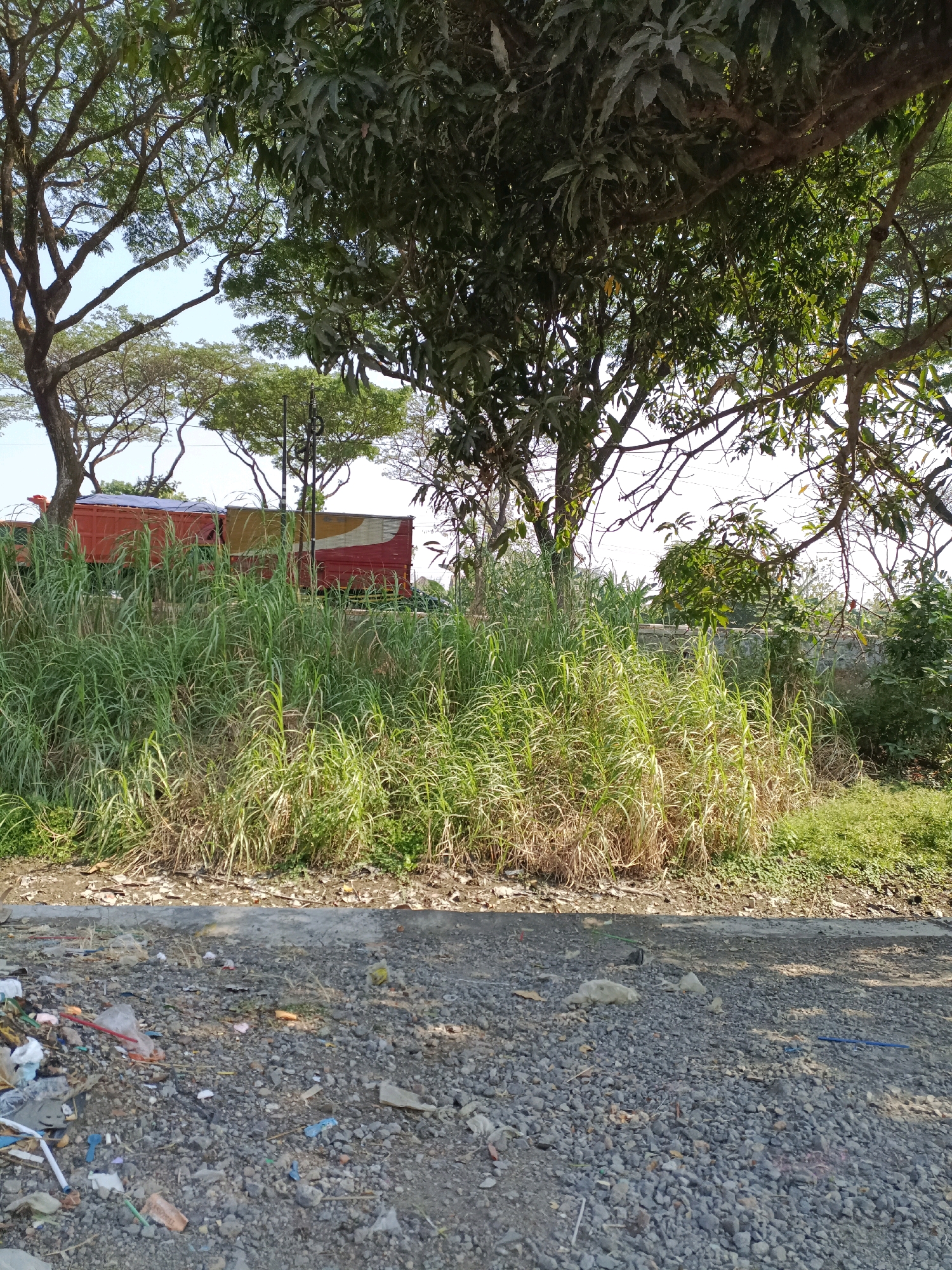 The image depicts an outdoor scene in Cangkring Rembang, Indonesia, characterized by a roadside environment with abundant vegetation and some debris. In the foreground, a gravelly ground surface is littered with various pieces of trash, including plastic bags, bottles, and other refuse. A concrete curb separates this area from a dense patch of tall, green grass and reeds. Beyond the vegetation, a red truck with a blue tarp on its cargo bed is visible, parked or moving along a road. Several trees with leafy canopies frame the upper part of the image, with branches extending across the frame. The sky above is bright, suggesting daytime. The overall impression is one of a somewhat neglected roadside verge.