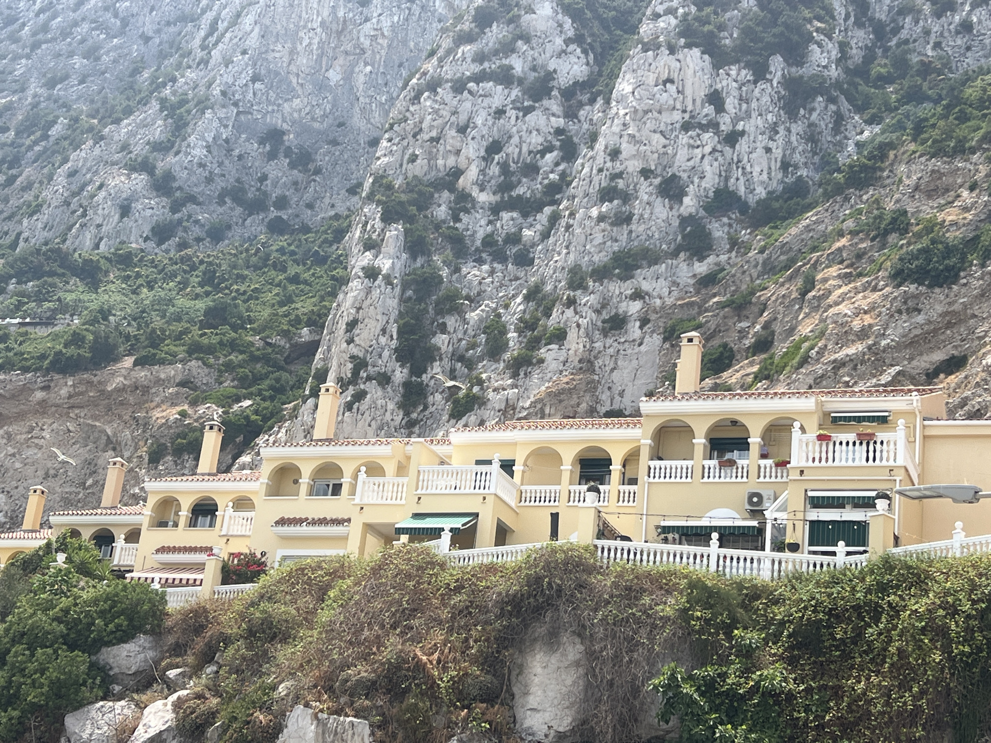 This image captures a terraced residential building nestled against a steep, rocky mountainside. The building features a light yellow facade, red tile roofing, and numerous arched windows and balconies adorned with white balustrades. Several chimneys rise from the rooftops, indicating individual residences. Green awnings are visible over some windows, suggesting protection from the sun. Lush green vegetation, including trees and dense bushes, covers the lower slopes of the mountain and the foreground, with some dry, overgrown vines clinging to the rocks. The mountain itself is a prominent feature, with rugged, grey rock formations and patches of greenery interspersed on its slopes. In the sky, a white bird, possibly a seagull, is captured in flight. The scene appears to be set during the daytime under a slightly overcast or hazy sky, contributing to a soft, diffused light. The location suggests a Mediterranean or coastal environment, given the architecture and the rocky terrain, consistent with Gibraltar. No visible text is present in the image. The overall impression is one of a picturesque residential development integrated into a dramatic natural landscape.