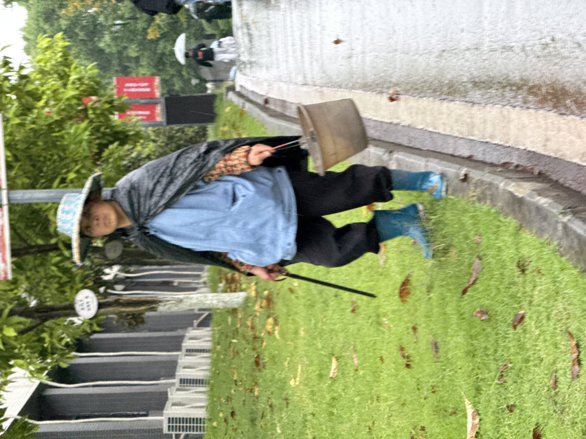 In a city location presumed to be Jiangjin, China, an individual is engaged in street sweeping activities amidst overcast weather conditions. The individual is wearing a straw hat, a blue shirt under what appears to be a dark poncho or cape, dark pants, and blue rubber boots. They are equipped with a broom and dustpan, actively sweeping fallen leaves from a grassy area that runs parallel to a concrete sidewalk or road. The road surface is damp, suggesting recent rain. Other individuals are visible in the background, under umbrellas, walking in the same direction. Trees and signage are visible in the periphery of the scene, indicating an urban environment.