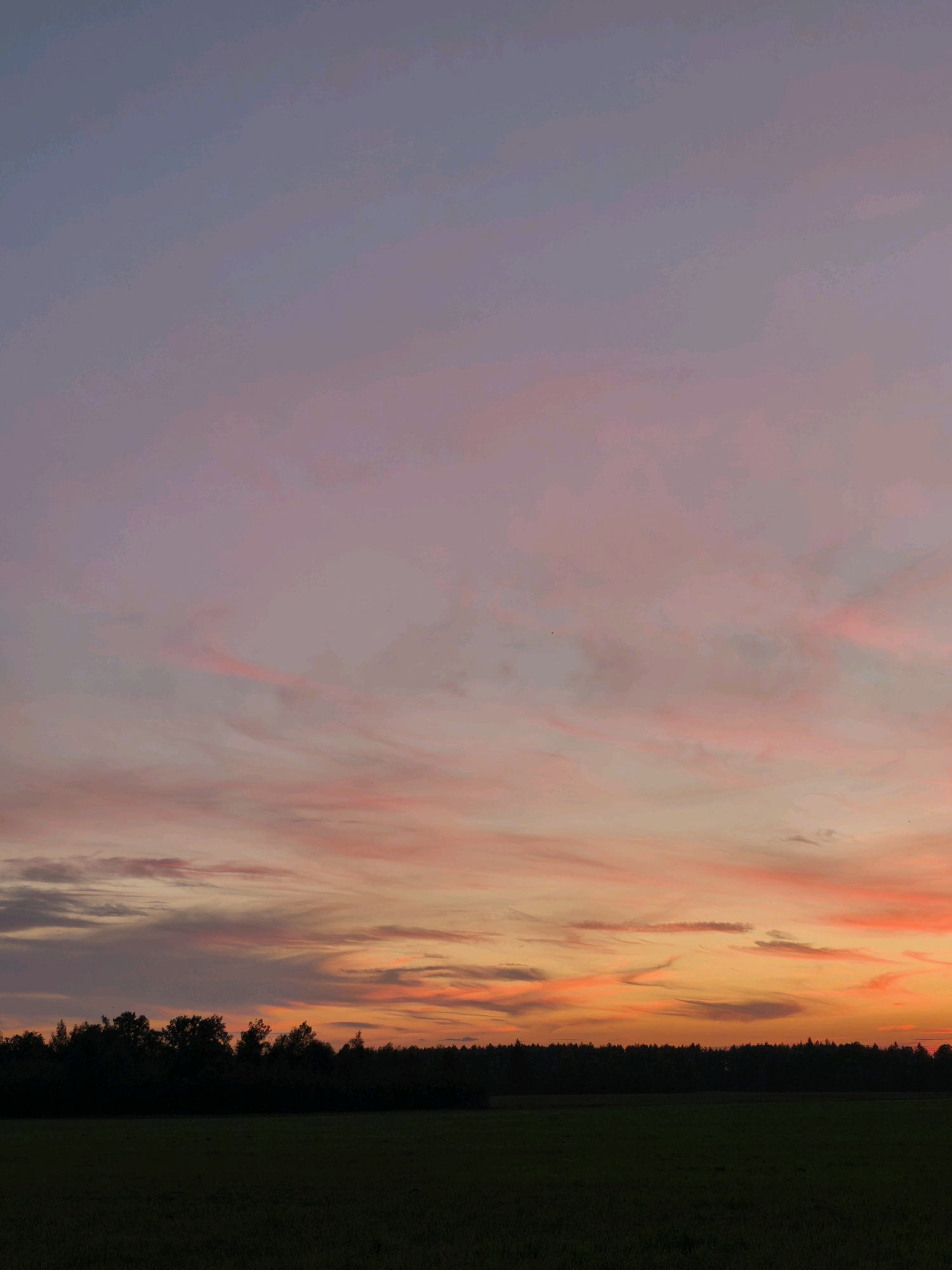 A wide-angle, low-light photograph captures a serene landscape at dusk in Кадзінскі сельскі Савет, Belarus. The sky is a gradient of soft purples and pinks, transitioning to vibrant oranges and yellows near the horizon. Wispy clouds streak across the sky, illuminated by the setting sun. Below the sky, a dense line of dark green trees forms a silhouetted forest, stretching across the width of the frame. In the foreground, a dark green, uncultivated field extends towards the viewer. The overall impression is one of tranquility and natural beauty, devoid of any human presence or activity.