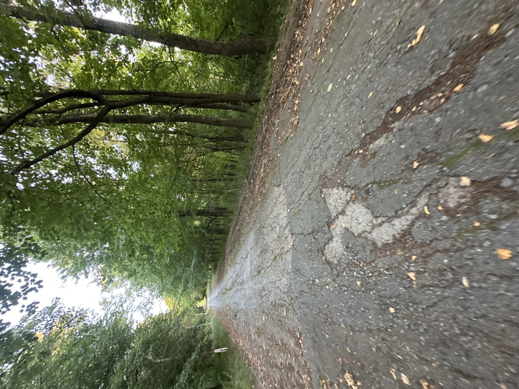 The image shows a cracked asphalt road extending into a wooded area. The road surface is wet and appears to be damaged with several fissures and patches of darker discoloration. Fallen leaves are scattered on the road and along the sides. Tall trees with green foliage line both sides of the road, creating a canopy overhead in some areas, and letting in dappled sunlight. The overall environment suggests a rural or semi-abandoned road in a natural setting. There are no people or visible structures in the immediate vicinity. The perspective is low, as if taken from a moving vehicle or a person walking. The location is identified as Makiv, Ukraine.