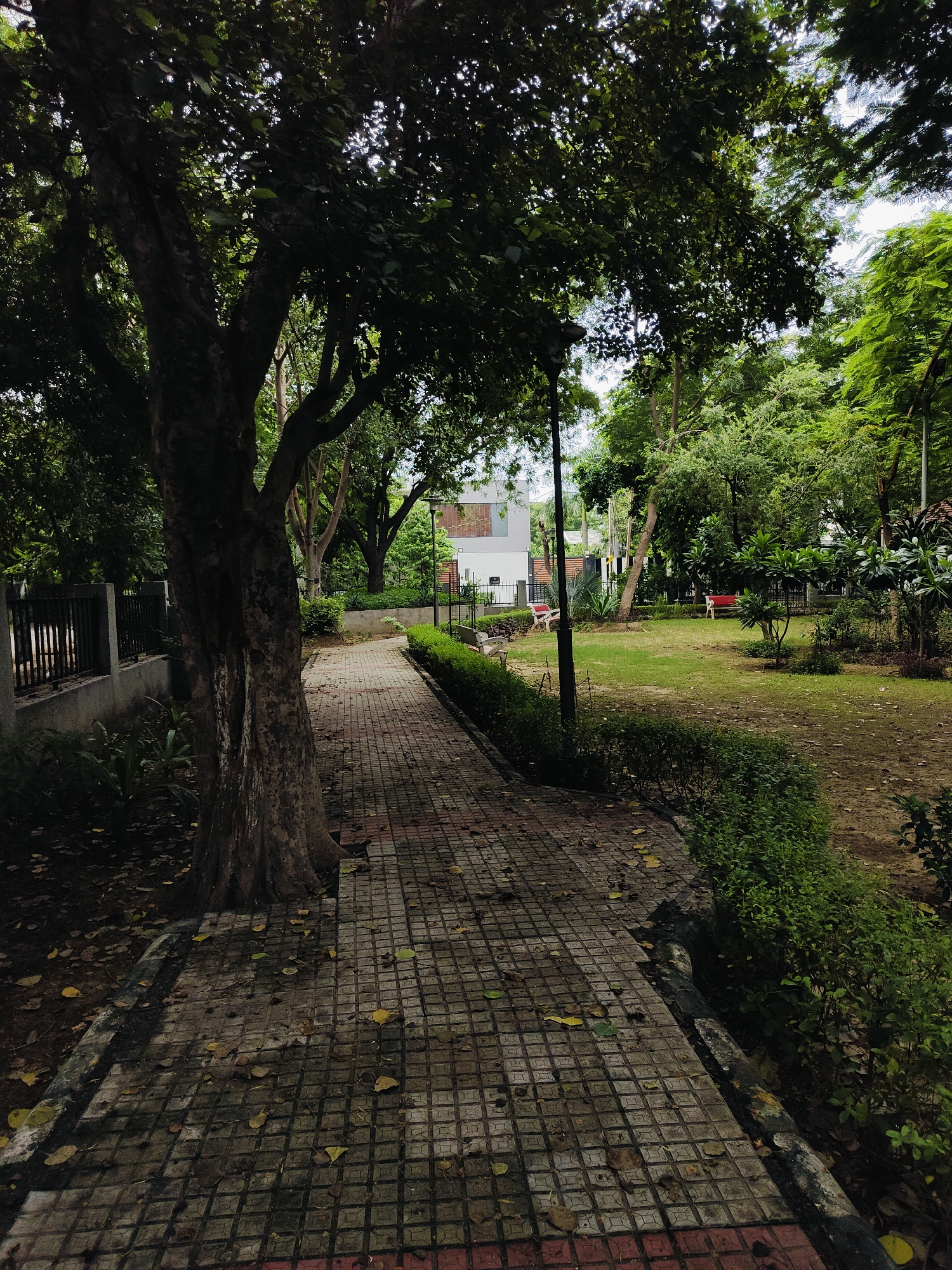A paved pathway curves through a park in Gurgaon, India, lined by manicured hedges on the right and a mature tree on the left. The pathway is constructed of square, grey tiles with reddish borders, and scattered fallen leaves are visible on its surface. Beyond the hedges, a grassy lawn stretches out, dotted with a few small trees and bushes. In the background, several red benches are placed on the grass. A light-colored building with multiple windows stands behind the trees in the far background, partially obscured by foliage. The scene is shaded by the dense canopy of the mature tree and other surrounding trees.