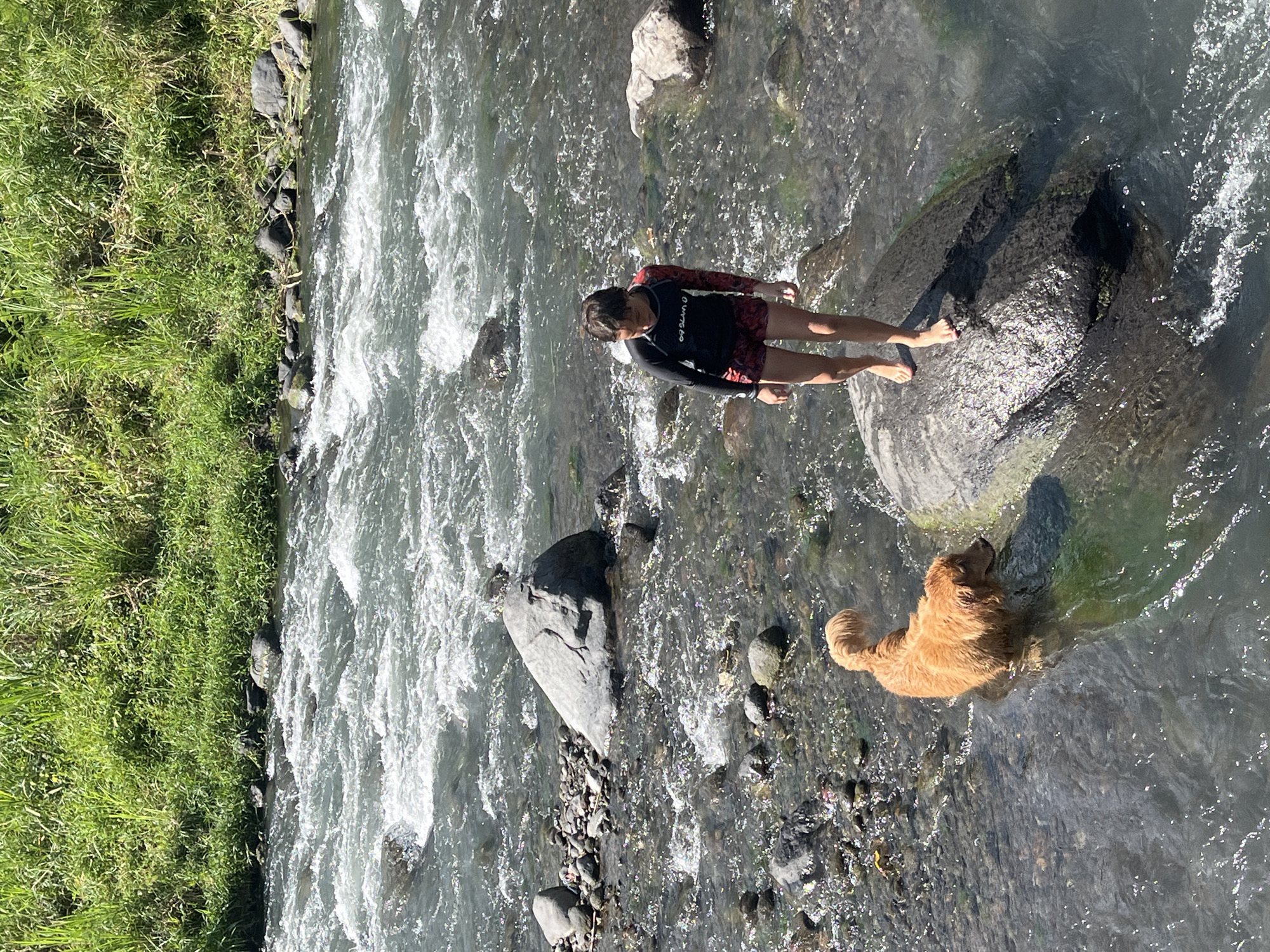 This image shows a natural scene with a river flowing through it. On the left side of the riverbank, there is lush green vegetation. In the river, a young person is standing on a rock wearing a rash guard and patterned shorts. Nearby, a golden retriever dog is standing in the water. The riverbed is visible, with rocks and flowing water. The scene appears to be a natural outdoor environment, possibly a river or stream. The specific location in Klungkung, Indonesia is not explicitly identifiable from the image itself.