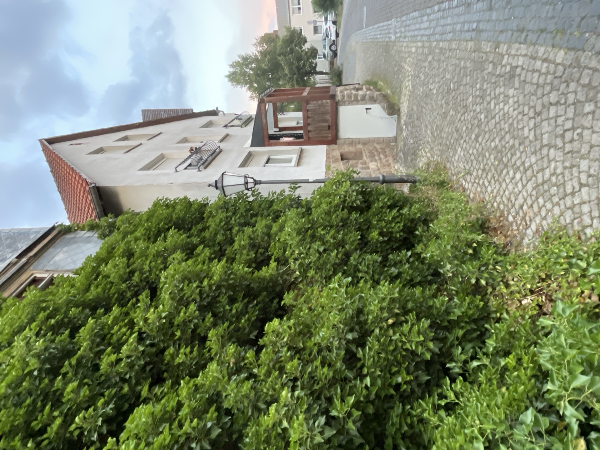 This image depicts a street scene in Neukirchen, Germany, on an overcast day. In the foreground and left side of the image, a dense, vibrant green ivy plant covers a portion of a building. The building itself, partially visible, is light-colored with a red-tiled roof and several windows. To the right of the ivy, a cobblestone sidewalk lines a street. A black, traditional-style street lamp stands on the sidewalk next to the ivy. Further down the street, a light-colored building with a wooden porch and stone foundation is visible. Several cars are parked along the street in the background, and trees are present. The sky is filled with dramatic, gray clouds, with a hint of pinkish hue visible on the horizon suggesting a potential sunset. The street appears to be paved with cobblestones.