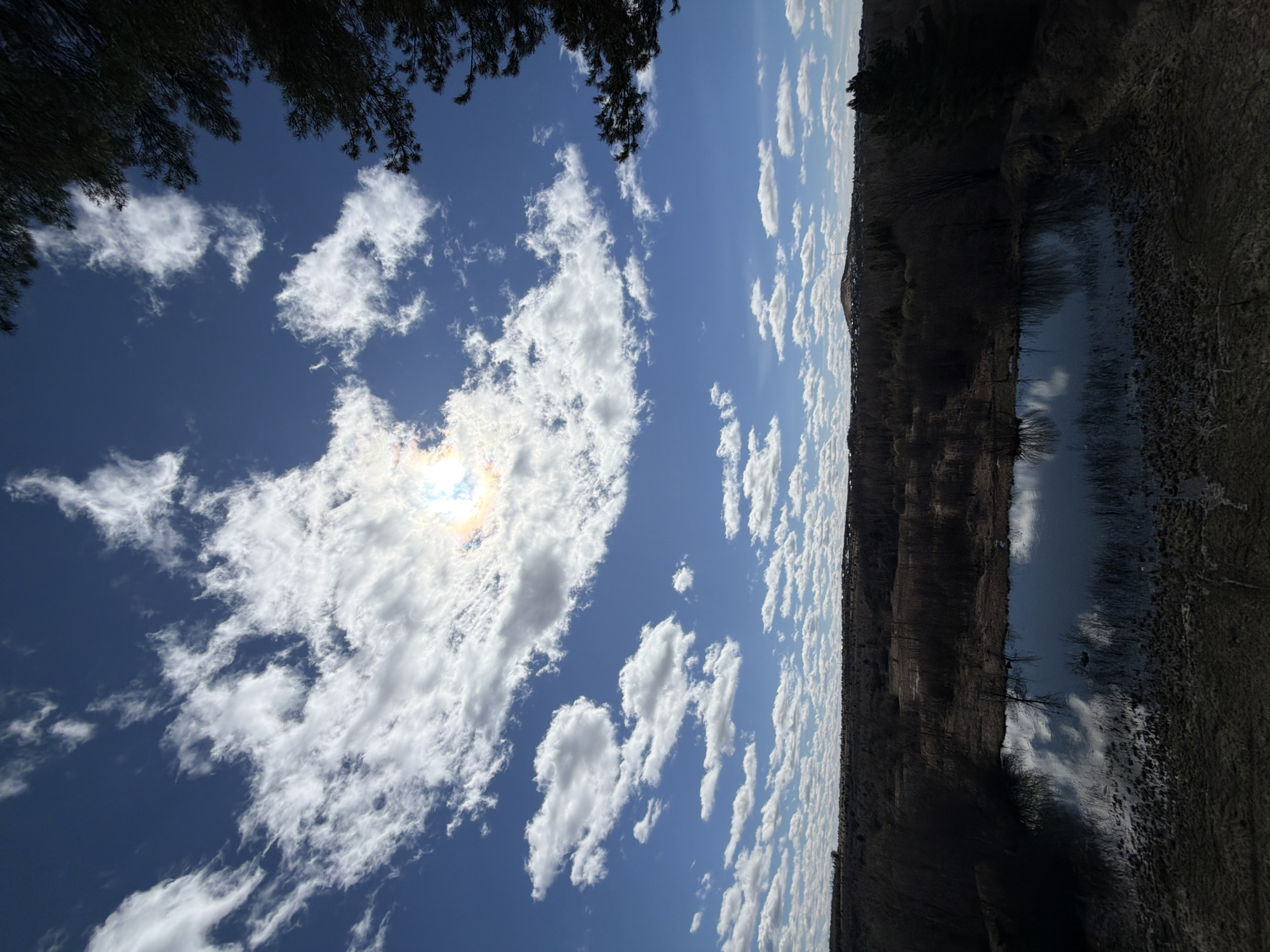 The image shows a scene in Izhevsk, Russia. The sky is predominantly blue with scattered white clouds, and the sun is visible through the clouds. Tree branches are visible at the top of the frame. A body of water reflects the sky and clouds. The riverbank is covered in vegetation, with trees and shrubs visible. The surrounding landscape includes a building on the horizon.