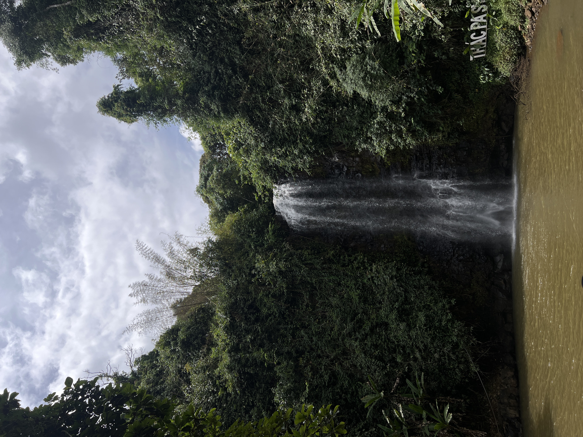 The image displays a scenic natural landscape featuring a prominent waterfall. The waterfall cascades down a dark, rocky face, creating white, foamy water as it plunges into a wide, murky pool at its base. The pool of water is a distinct earthy brown or greenish-brown color, reflecting the surrounding environment.
Dense, vibrant green foliage and tall trees heavily frame the waterfall on both sides and extend upwards, indicating a lush, overgrown environment. The vegetation appears thick, with various types of leaves and branches contributing to a rich canopy. In the upper left section, slender, light green bamboo shoots are visible against the sky.
Above the treeline, the sky is partly cloudy with a mix of white and grey clouds, suggesting a bright daytime setting.
On the right side, nestled within the dense greenery above the water, a white sign with bold capital letters is visible, reading "THÁC PA S". This natural scene is situated in Măng Đen, Vietnam.