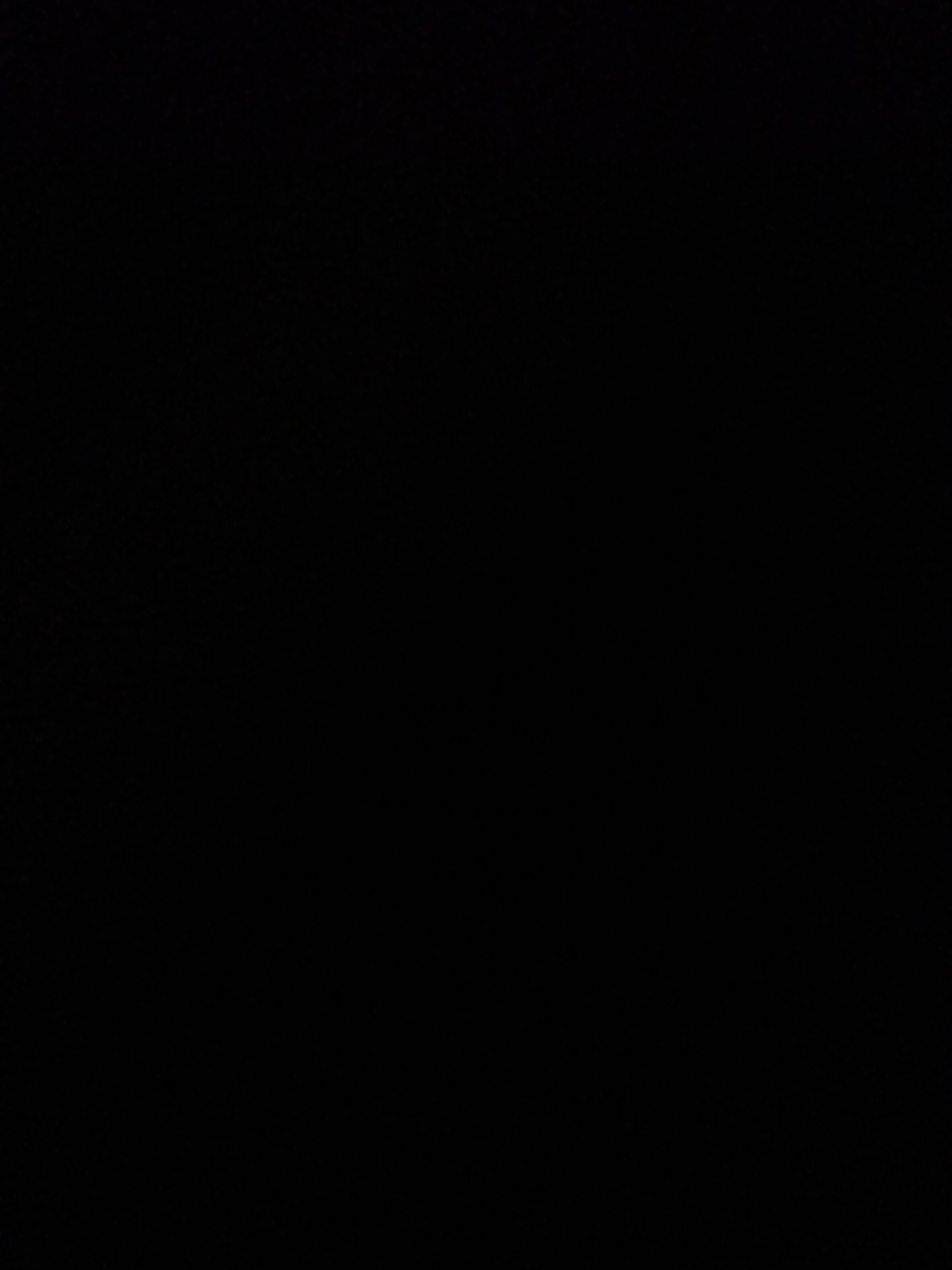 The image is a completely black screen, with no discernible subjects, objects, activity, or scene. There is no visible text, and no location cues are present. Without any visual information, it is impossible to determine the time of day, weather conditions, or any emotional context. The media file appears to be corrupt or an intentionally blank image.