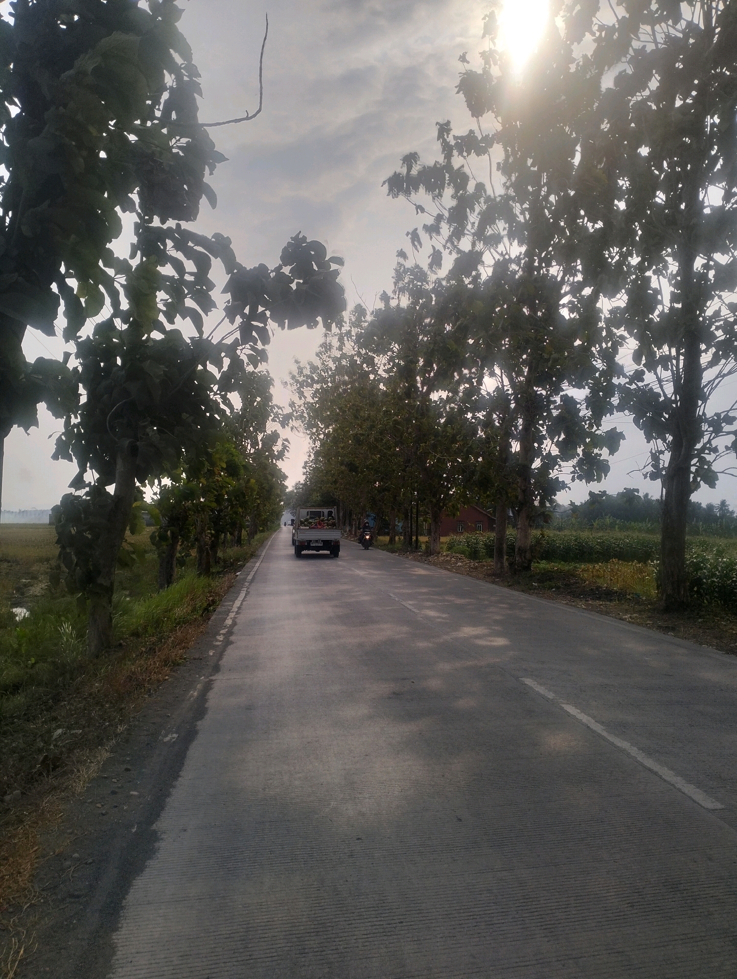 The image depicts a straight, paved road lined with trees on both sides, suggesting a rural or semi-rural setting. The road surface is concrete with visible lines and some patches of darker asphalt or wetness. On the left side of the road, there is a field with grass and some water or mud. On the right side, there are more trees and vegetation.
A small white truck is driving away from the camera in the center of the road, its bed filled with what appear to be watermelons. There is also a motorcycle visible in the distance on the right side of the road, also moving away from the camera. The sky is overcast with bright sunlight filtering through the clouds, casting dappled light on the road. The overall impression is one of a quiet, daytime scene.