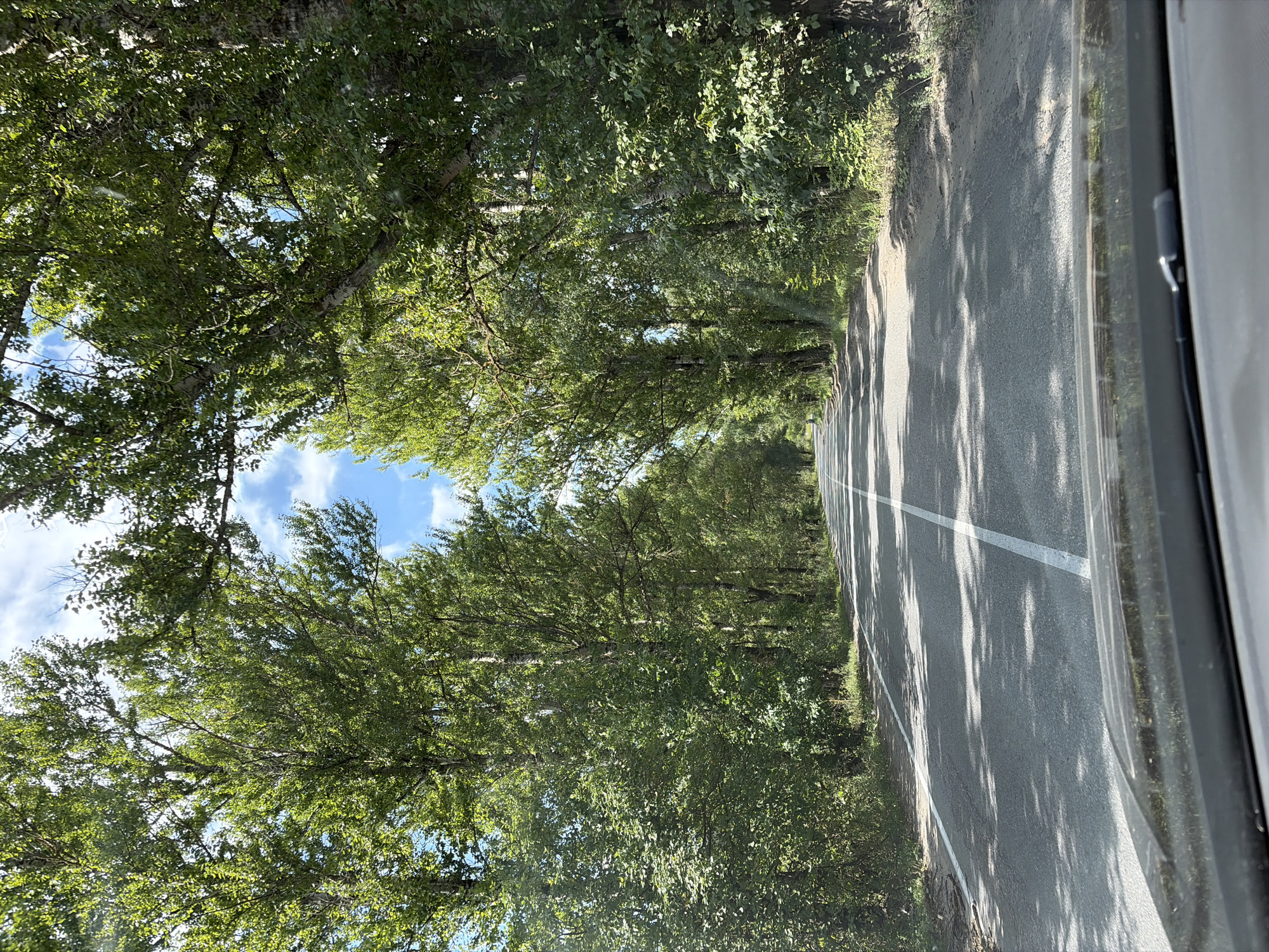 The image shows a paved road lined with mature trees casting shadows on the asphalt. The road has a white dividing line. The trees, mostly deciduous, create a canopy over the road, suggesting it is a tree-lined avenue or rural road. The sky is partly cloudy. The scene is observed from the perspective of a vehicle, as indicated by the dashboard in the foreground. There are no people visible in the image. The environment appears to be natural and rural, with dense foliage on either side of the road. The location is identified as Селена Снт, Russia.
