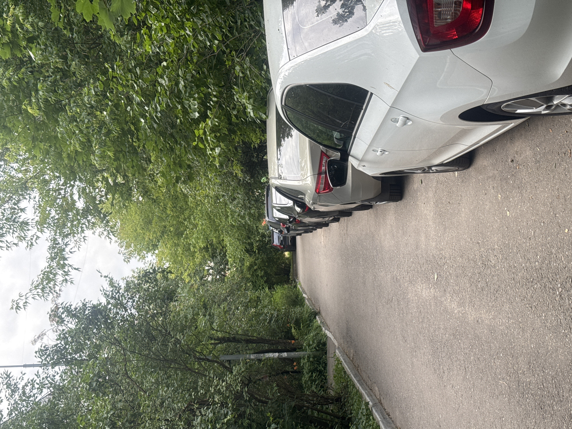 The image depicts a narrow asphalt road with a curb on the left side, bordered by a dense green area of trees and foliage. Several cars are parked in a line along the right side of the road, facing away from the viewer. The cars are of various colors, including white, light gray, and black. The closest car is white and its rear is prominently featured. The sky is overcast. The scene appears to be in a residential area, possibly in Dedovsk, Russia, given the presence of a streetlamp on the left and the overall urban greenery. There are no people visible in the image.