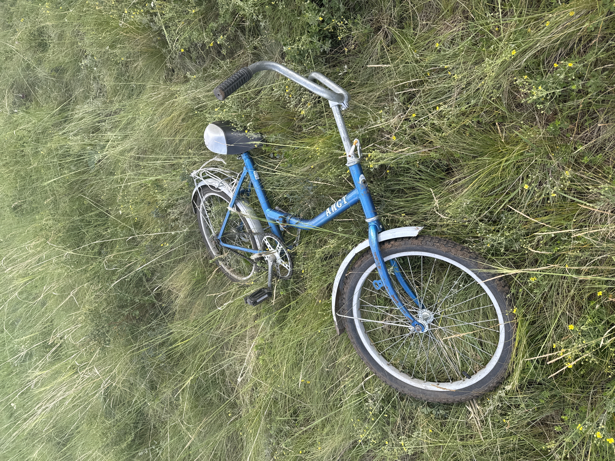 An overturned blue bicycle lies on its side in a grassy field with scattered yellow wildflowers. The bicycle's front wheel is in the foreground, facing left. The rear wheel is further back, partially obscured by the frame. The bicycle appears to be a standard model with fenders, a metal seat, and handlebars. The grass is tall and appears somewhat unkempt. The image is taken from a high angle, looking down at the scene. There are no people or animals visible in the image. The location is identified as Aumyshevo, Russia.