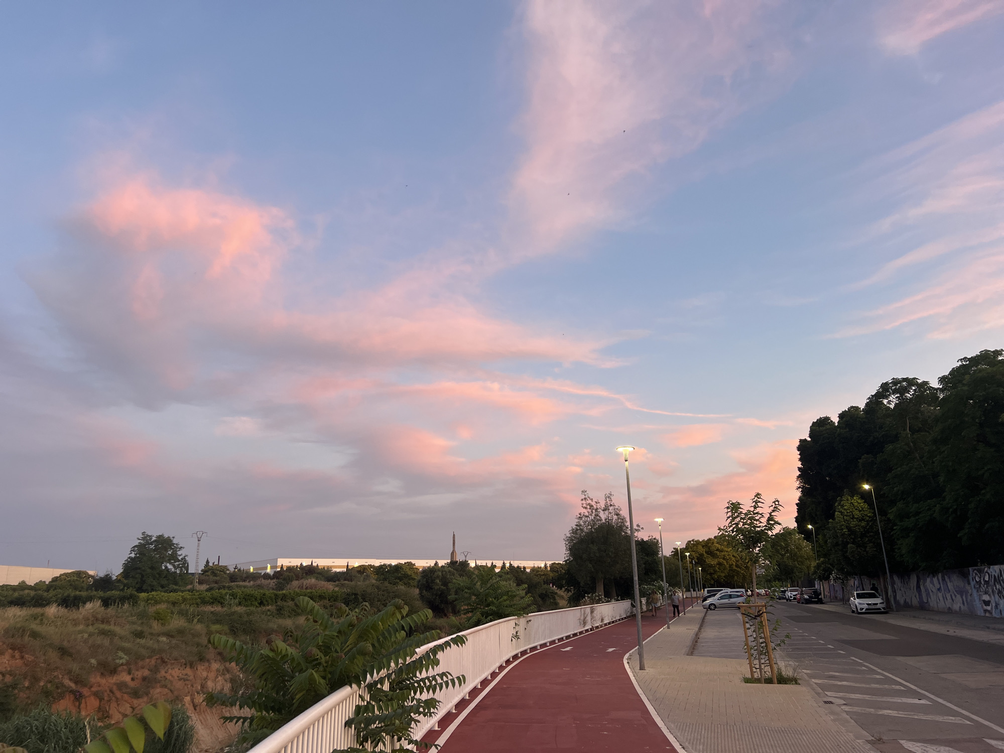 The image captures a twilight scene in Picassent, Spain, presenting a view of a multi-modal pathway system alongside a road, under a sky exhibiting hues of light blue and soft pink clouds, indicative of sunset or sunrise.
In the foreground, a prominent red asphalt bikeway or pedestrian path, delineated by white lines, curves gently towards the background from the left. A white metal railing with vertical slats borders this path on the left, separating it from a lower, unkempt embankment covered in various green foliage, including shrubs and small trees. Patches of reddish-brown soil are visible on the embankment. Beyond this natural barrier, further green trees and brush extend, leading to several distant, large, white, low-rise industrial or commercial buildings under the horizon line. A slender, tall metal pylon-like structure is visible above the distant tree line.
To the right of the red path is a paved pedestrian sidewalk, illuminated by multiple modern streetlights with a warm, yellow-orange glow. Several indistinct human figures are visible on this sidewalk in the mid-ground, appearing to walk away from the viewer. Parallel to the sidewalk is a paved road, where multiple vehicles, primarily white and silver passenger cars, are parked along the right curb. The road surface features faded white painted markings, possibly for parking or lane guidance. A dense line of mature green trees borders the right side of the road, and further back, a concrete wall covered in graffiti is discernible beneath the trees. The overall illumination suggests artificial light sources are actively engaged to supplement the diminishing natural light.