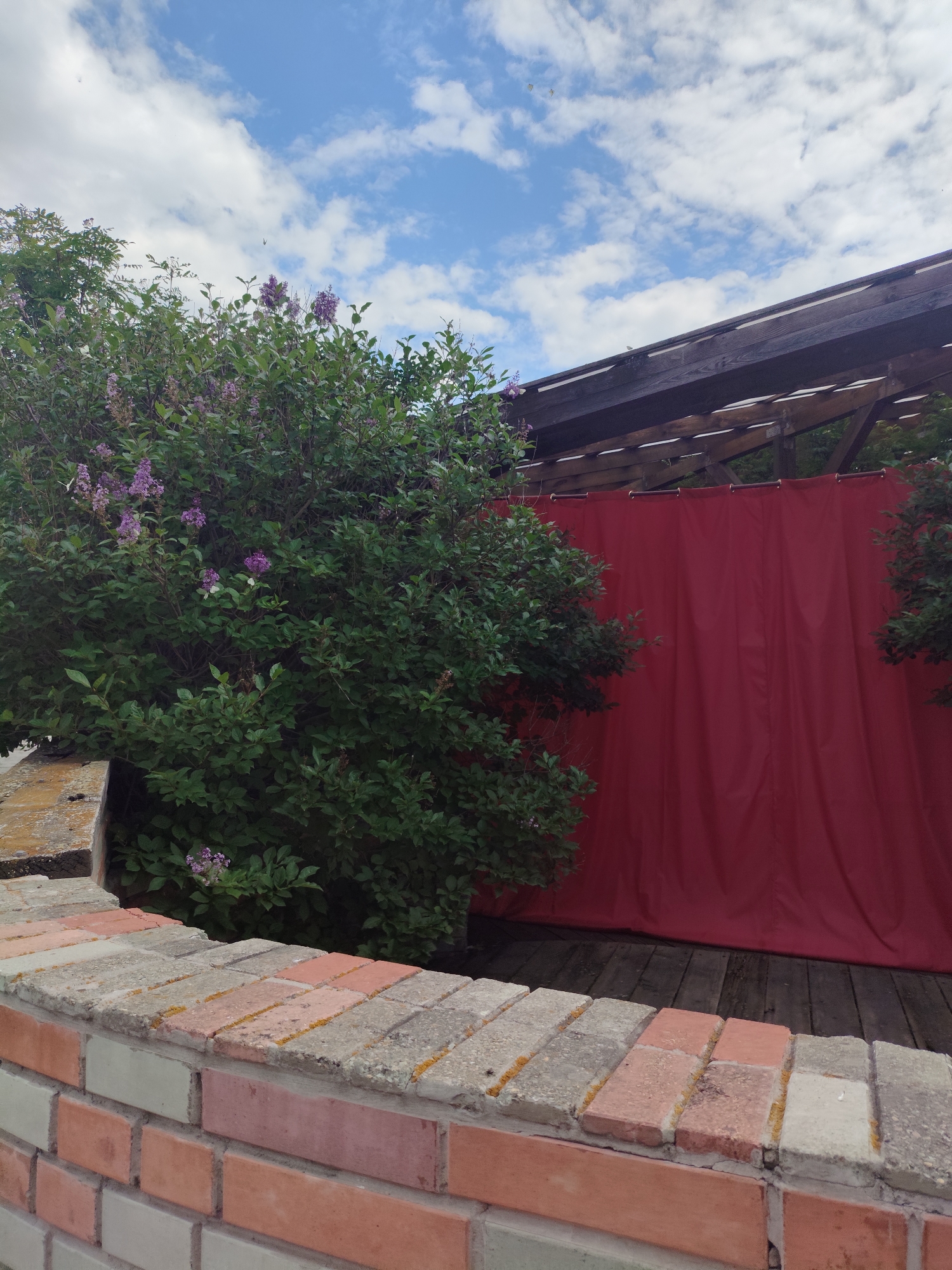 The image shows a partially obscured outdoor scene with a brick wall in the foreground and a large bush with purple flowers to the left. Behind the bush, a red curtain hangs against a wooden structure. The sky above is blue with scattered white clouds. There are no people or animals visible in the image, nor any direct indication of the location being Askiz, Russia. The scene appears to be a backyard or garden area.