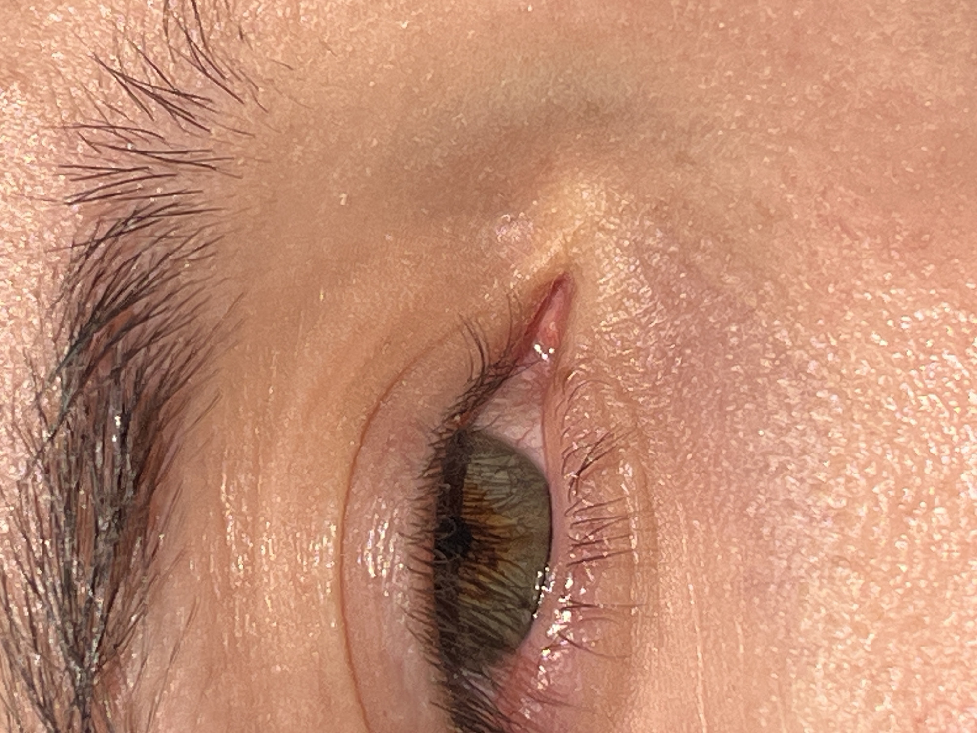 This is a close-up, extreme-macro photograph of a human eye and surrounding skin. The iris of the eye is a greenish-brown color with visible pupil. The eyelashes are dark and numerous. The skin is light-toned with visible pores and fine lines. There appears to be some subtle sheen on the skin, possibly from moisture or makeup. The eyebrow hairs above the eye are dark and appear somewhat sparse in areas. There are no discernible objects, actions, or interactions to describe. The location is unknown, as no environmental context is provided.