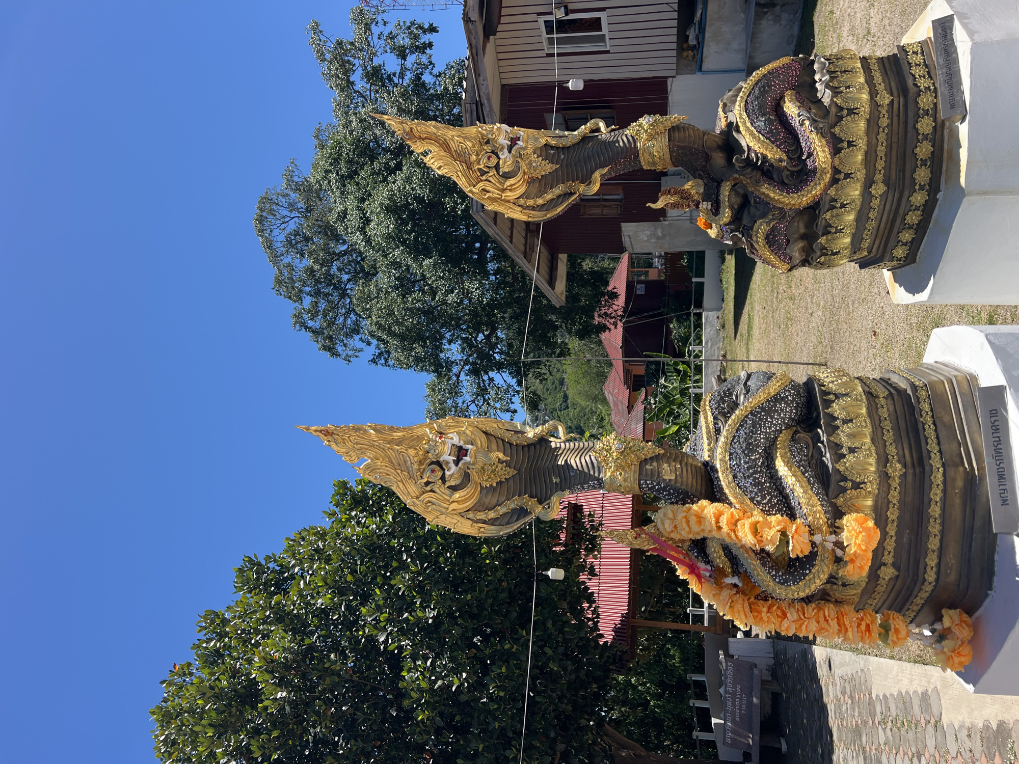 This media file features two ornate serpent statues, likely representing mythical Naga creatures, adorned with gold and dark, textured scales. One statue has a striking gold head with intricate details and red eyes. Both statues are decorated with garlands of vibrant orange flowers. They are situated outdoors, with a clear blue sky and lush green trees providing a natural backdrop. In the background, traditional Thai-style buildings with red roofs and wooden exteriors are visible. The setting appears to be a temple or a sacred site, suggested by the architectural style and the presence of such statues. The lighting indicates it is daytime, likely sunny.
Visible text in the image includes Thai inscriptions on plaques near the statues. One plaque reads "เชรภัทรนาคราช พญานาคิณี" which translates to "Cheraphat Naga King, Naga Queen," identifying the statues. Another plaque displays names and titles, such as "นายวรเขา-บุหงา สุจริตจิตร" (Mr. Worakao-Bunga Sucharitjit), "นายอำเภอ ขนอม" (Amphoe Khanom District Chief), and "7.11.0.17." The presence of these names and titles suggests a dedication or commemoration related to the statues. The location context is identified as Baan Hua Thanon, Thailand.