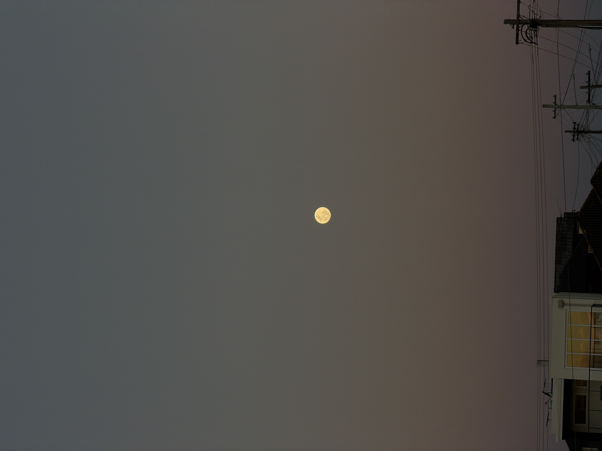 A full moon, illuminated with a soft yellow glow, is centered in a vast, dusky gray sky. The horizon is a subtle gradient of dusky pink and gray. Below, the silhouettes of buildings and utility poles are visible against the lower sky. To the left, a white building with large, reflective windows that mirror the sky is prominent. To the right, several wooden utility poles with tangled wires crisscross the scene. The image was captured in Dover Heights, Australia.