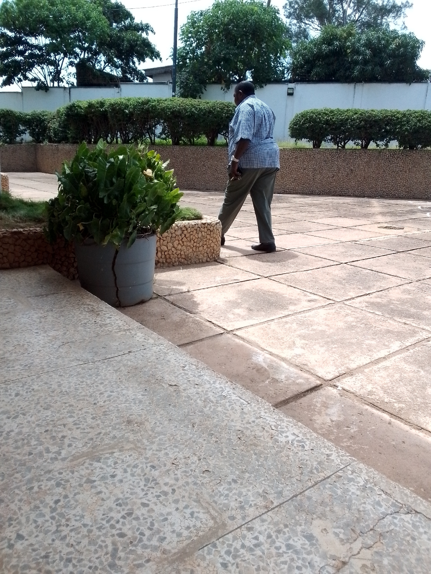 A man in a blue and white checkered shirt and green pants walks away from the camera on a paved outdoor area in Jos, Nigeria. He is walking on square, light-colored concrete tiles. To his left is a large, dark gray planter with a crack down the side, containing a lush green plant with large leaves. The planter is surrounded by a low wall made of light brown stones. Behind the planter is more of the stone wall and trimmed green bushes. Further in the background, a white wall with a dark line runs horizontally across the image, with trees and foliage above it. The lighting suggests it is daytime.