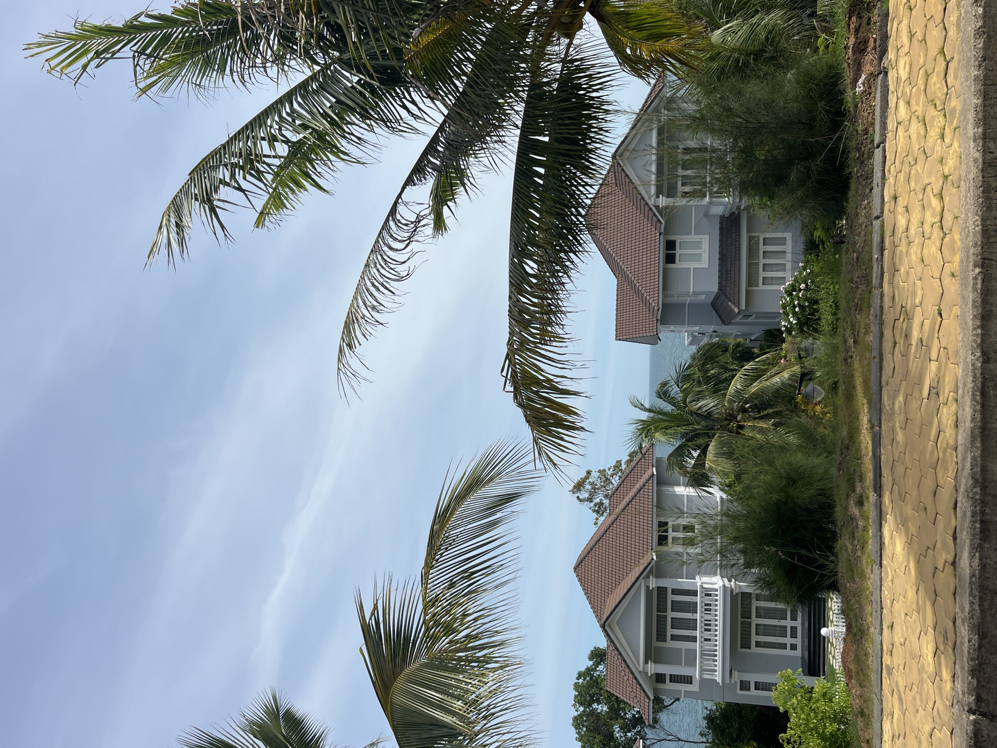 The image depicts a serene coastal scene in Phu Thuy Ward, Vietnam, featuring two modern houses with grey exteriors and brown tiled roofs. The houses are situated amidst lush tropical vegetation, including palm trees with fronds extending into the frame, and other dense greenery. The ocean is visible in the background, suggesting a beachfront location. In the foreground, a yellow paved pathway or driveway runs horizontally across the bottom of the image, bordered by a low concrete wall. The sky above is a pale blue with wispy clouds, indicating fair weather. The overall impression is one of a peaceful, tropical residence by the sea.