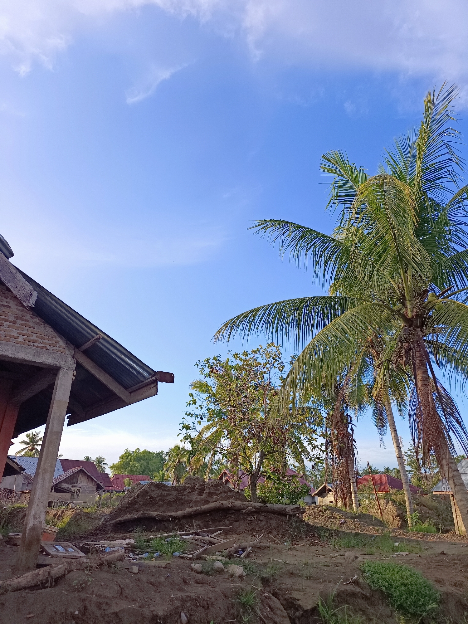 The image captures a rural scene in Meunasah Raya, Indonesia. In the foreground, there is a pile of dark soil with debris, including logs and plastic bottles, scattered on the ground. To the left, the unfinished brick structure of a building with a corrugated metal roof is partially visible.
Dominating the right side of the frame is a tall coconut palm tree with lush green fronds. Behind it, other palm trees and foliage can be seen. In the mid-ground, a cluster of houses with red and brown tile roofs are nestled amongst trees. The sky above is a clear, bright blue with a few wispy white clouds. The lighting suggests it is daytime, likely late afternoon or early morning due to the soft quality of light. There are no people or animals visible in the frame. The overall impression is one of a developing or possibly damaged area, with construction materials and a somewhat untidy foreground, contrasted with the natural beauty of the surrounding vegetation and the sky.