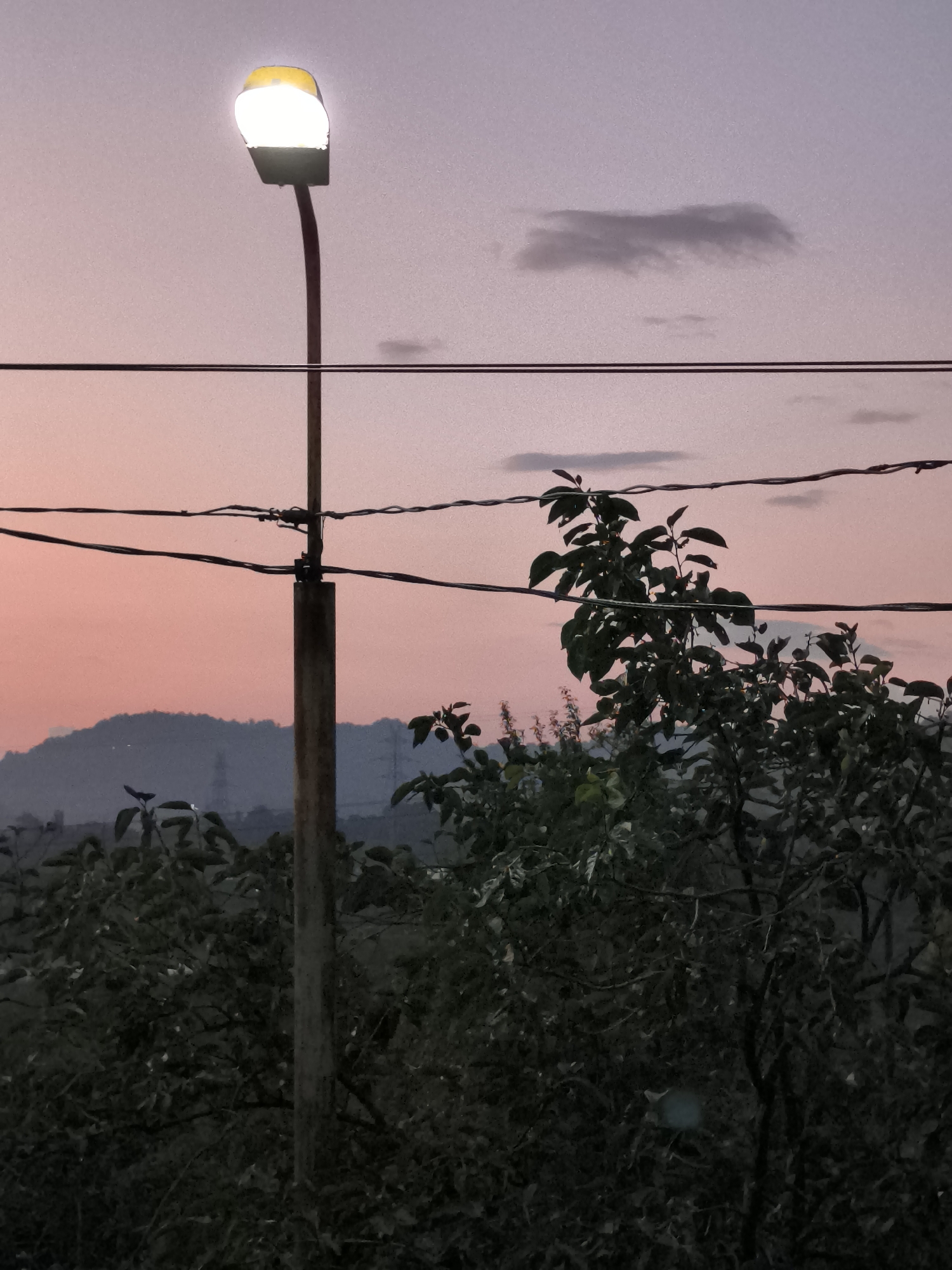 A single street lamp with a bright white light is illuminated against a dusky pink sky, with faint gray clouds scattered above. The lamp is mounted on a tall, weathered pole situated amidst dark green foliage and trees. Several horizontal power lines cross the frame in front of the lamp and the sky. In the background, a hazy, dark mountain range is visible against the horizon. The scene appears to be an outdoor setting in a semi-urban or suburban area, possibly on the outskirts of Batumi, Georgia, given the atmospheric conditions and the presence of infrastructure like power lines and a street lamp. There are no people or animals visible in the image.