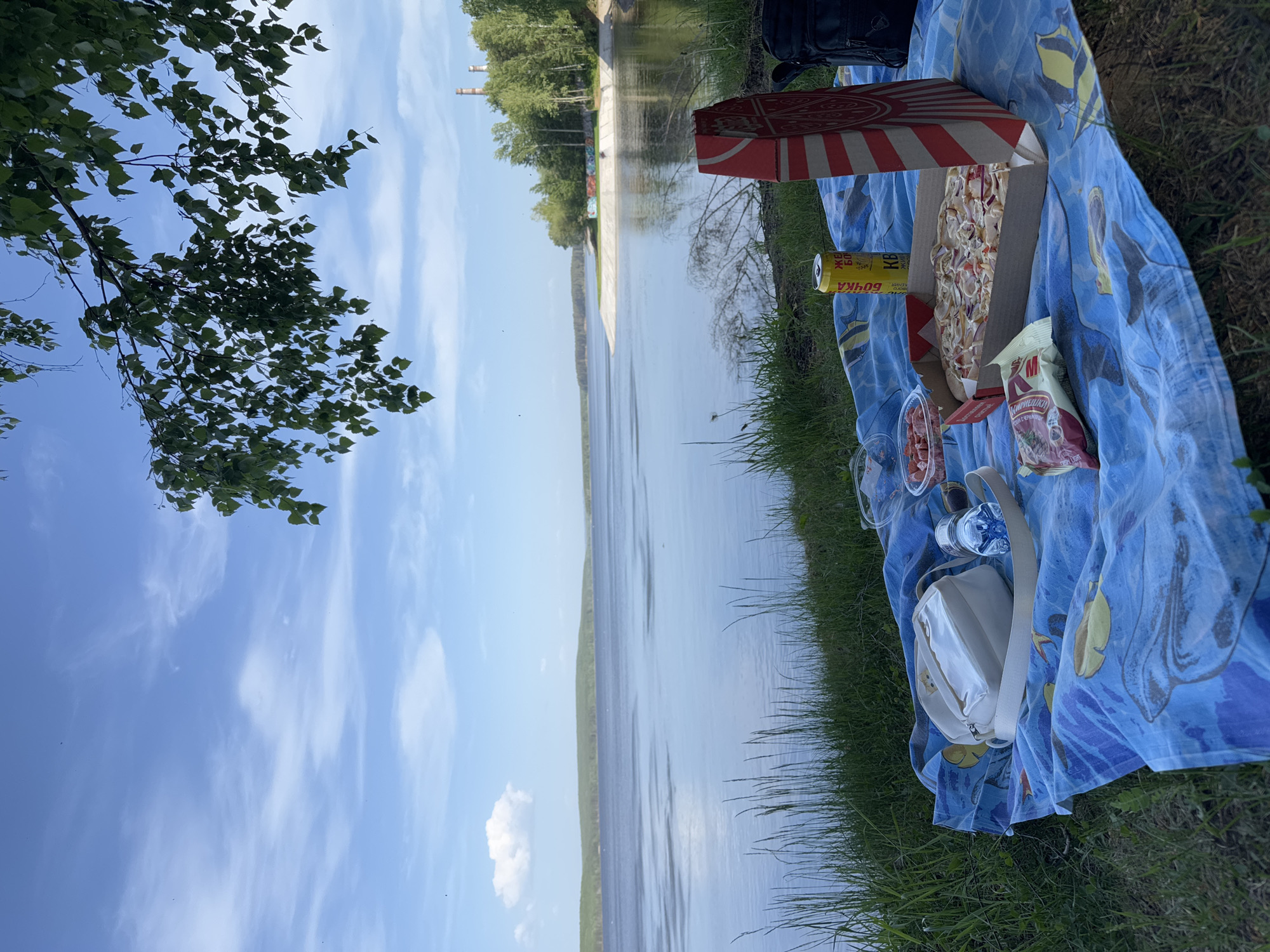 The image shows a picnic scene next to a body of water, likely a lake or river. The location appears to be near Chaikovsky, Russia based on the Cyrillic writing on the "Бочка" beer can. The foreground features a blue patterned blanket laid out on the grass. On the blanket are picnic items: an open pizza box, the beer can, a container of sliced meat, a bag of snacks labeled "Компишки", a water bottle, a white purse, and other indiscernible containers. In the background, across the water, is the opposite bank, with visible trees and a couple of industrial chimneys. The sky is blue with scattered clouds. A tree branch with leaves occupies a portion of the left side of the frame. The image suggests a casual outdoor meal by the water.