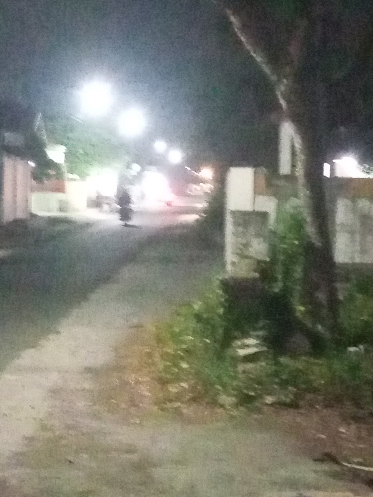 The image depicts a street scene at night in Ngasem, Indonesia. A lone motorbike rider is moving away from the camera down a paved road. The street is illuminated by bright streetlights, casting long shadows. On the right side of the road, there is dense vegetation and the partial view of a building. The overall scene is dimly lit, with a grainy texture typical of low-light photography.